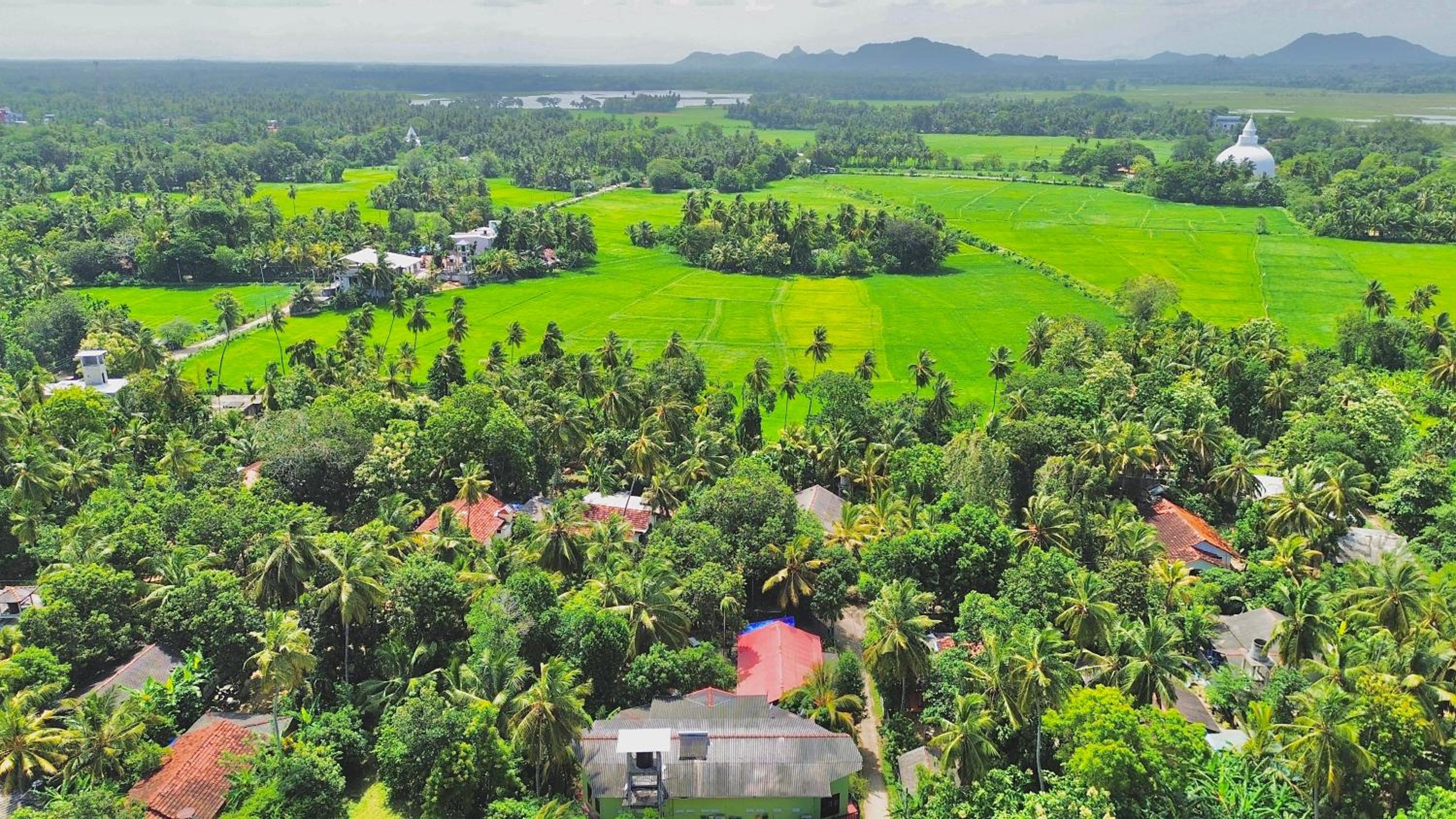 La Safari Inn Tissamaharama