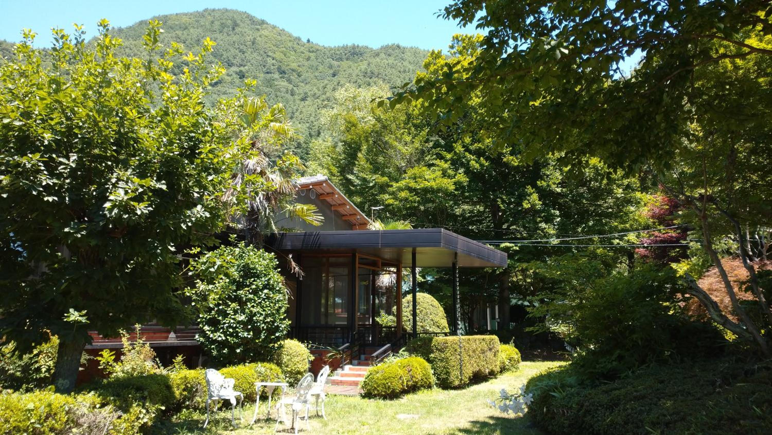 SunSunFujiyama