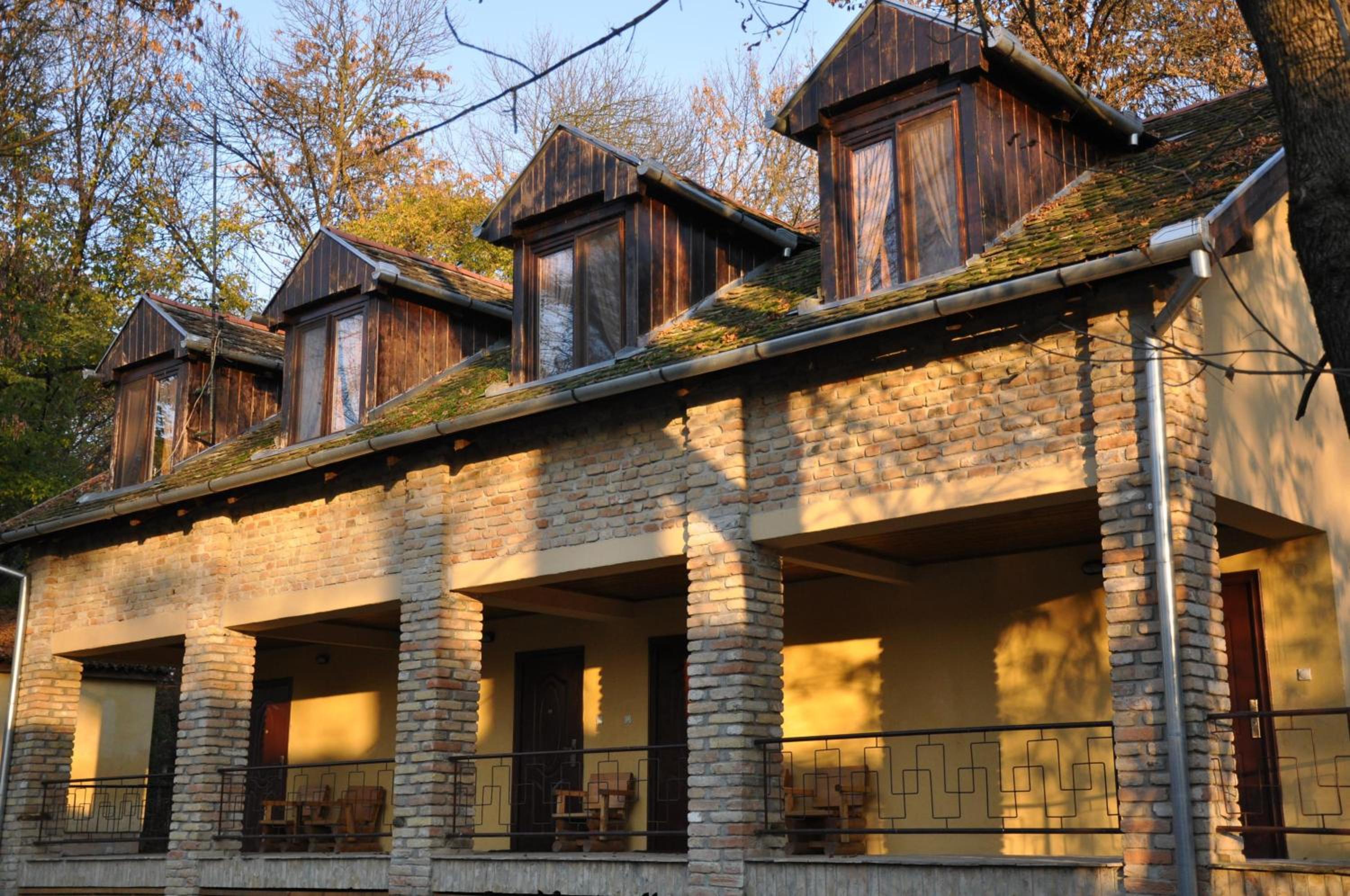 Guest house Pikec view 5