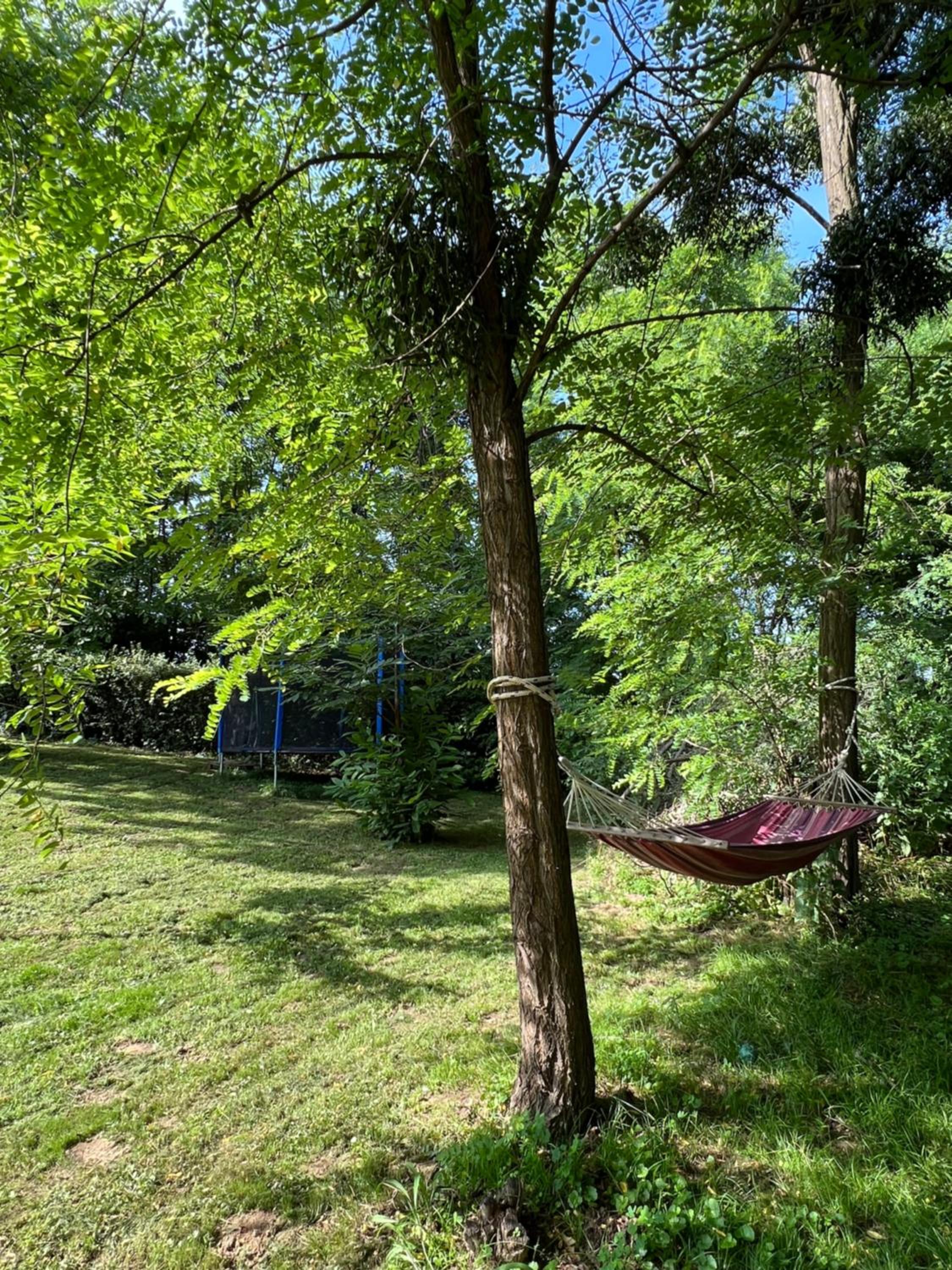 Green Home