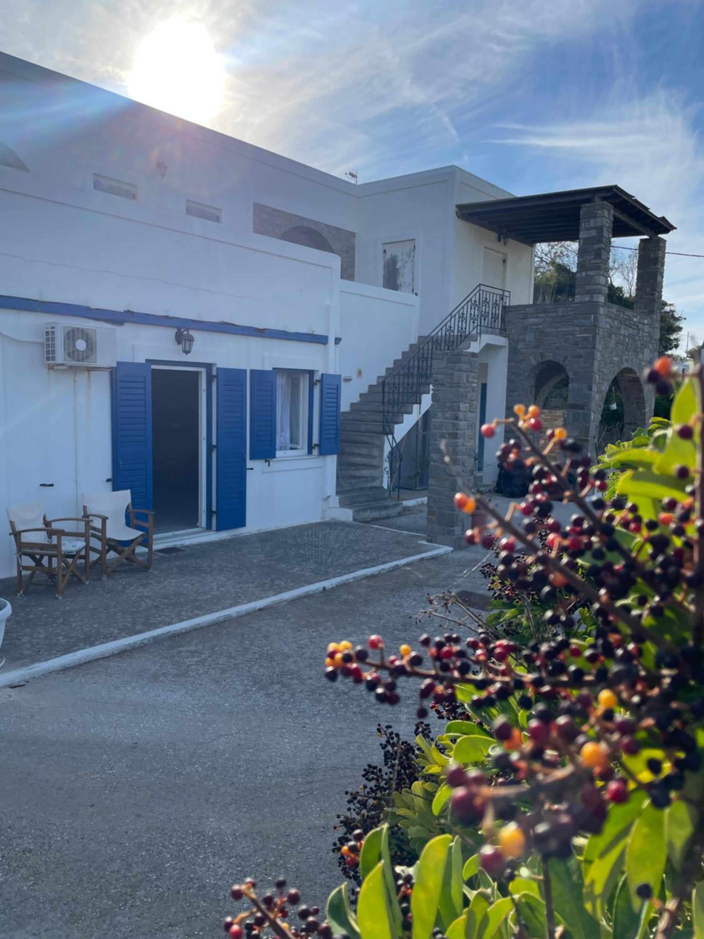 Pappu's House