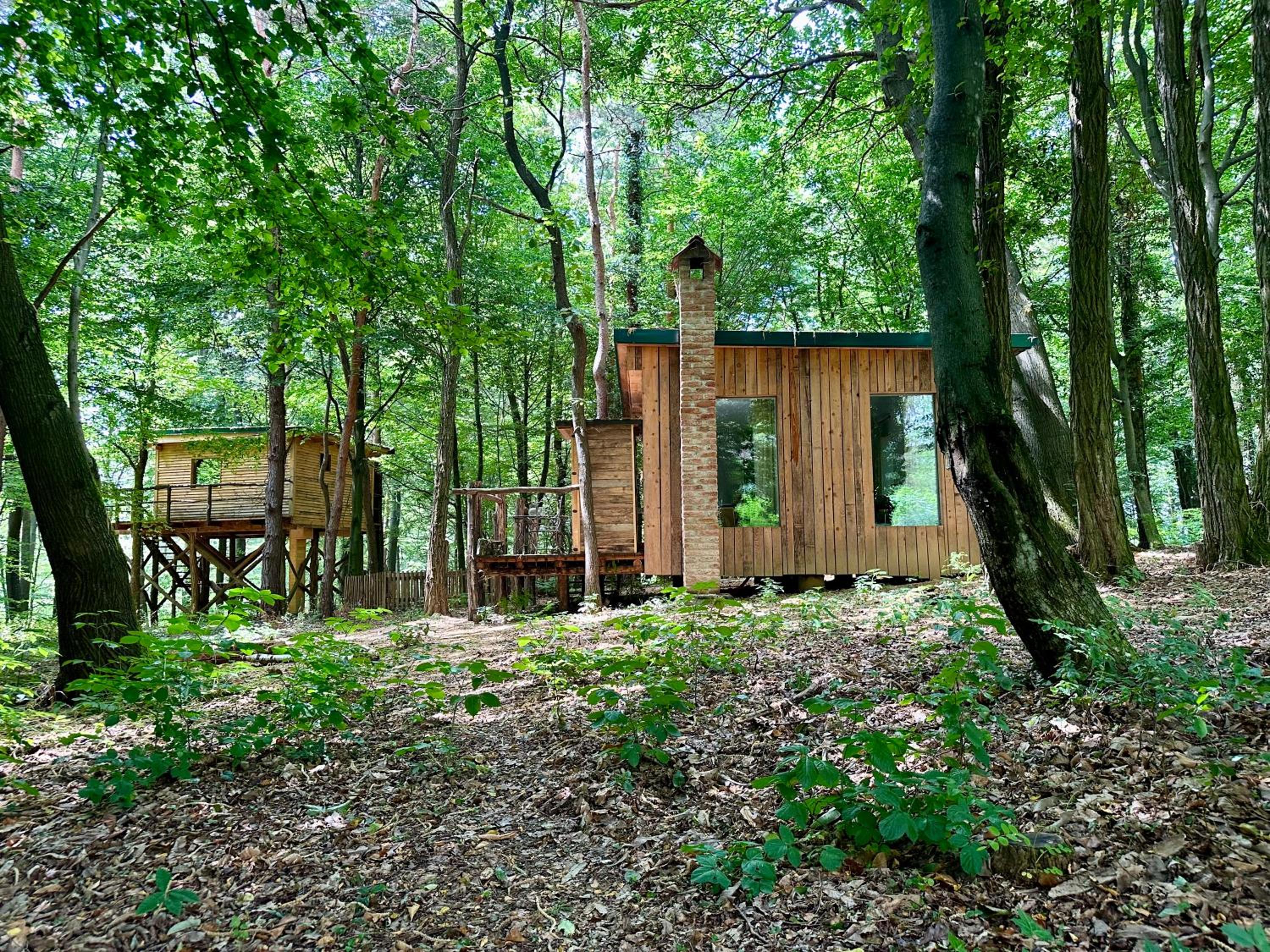 Living Forest Resort