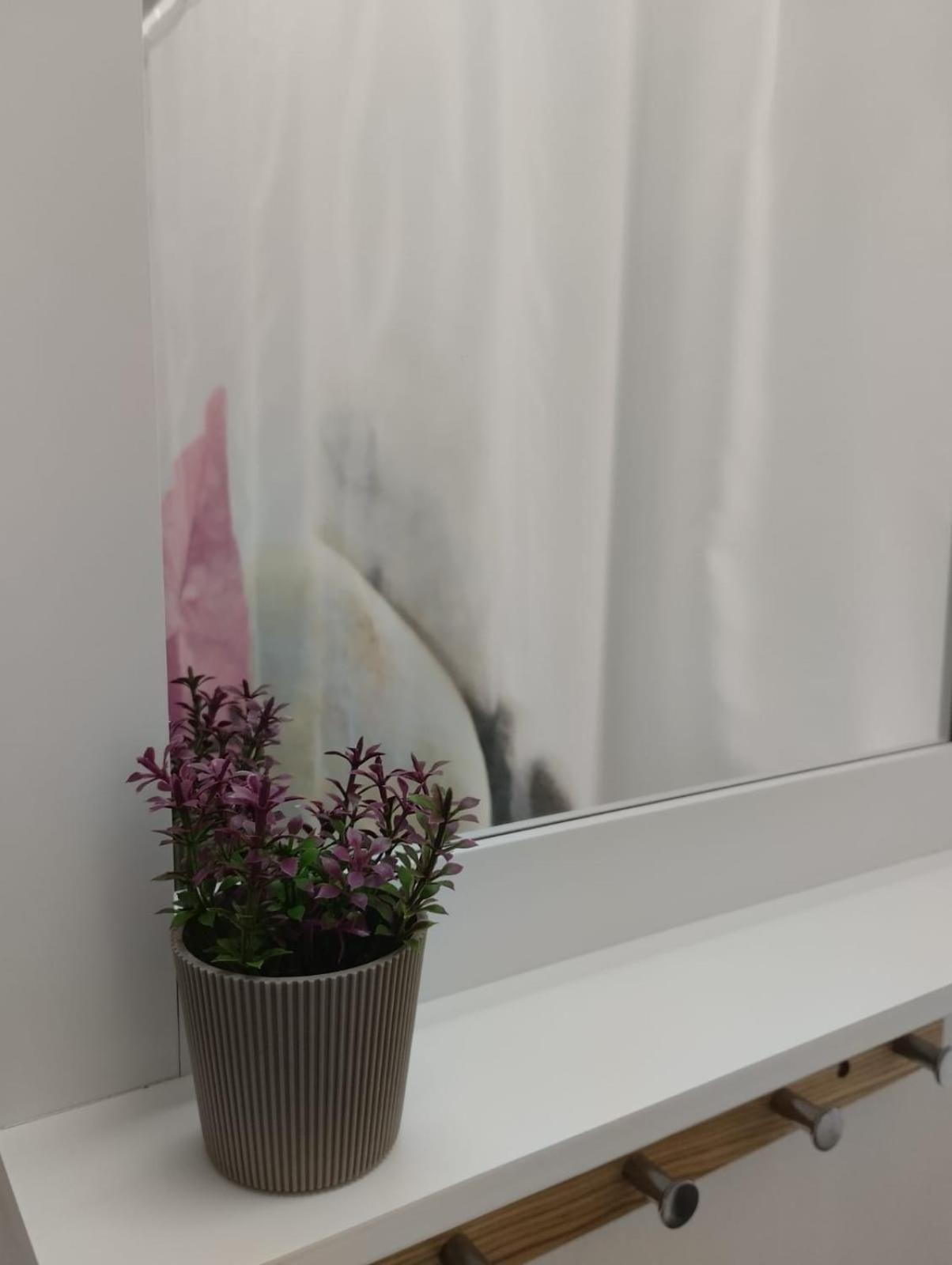 Floki studio in the center self check in