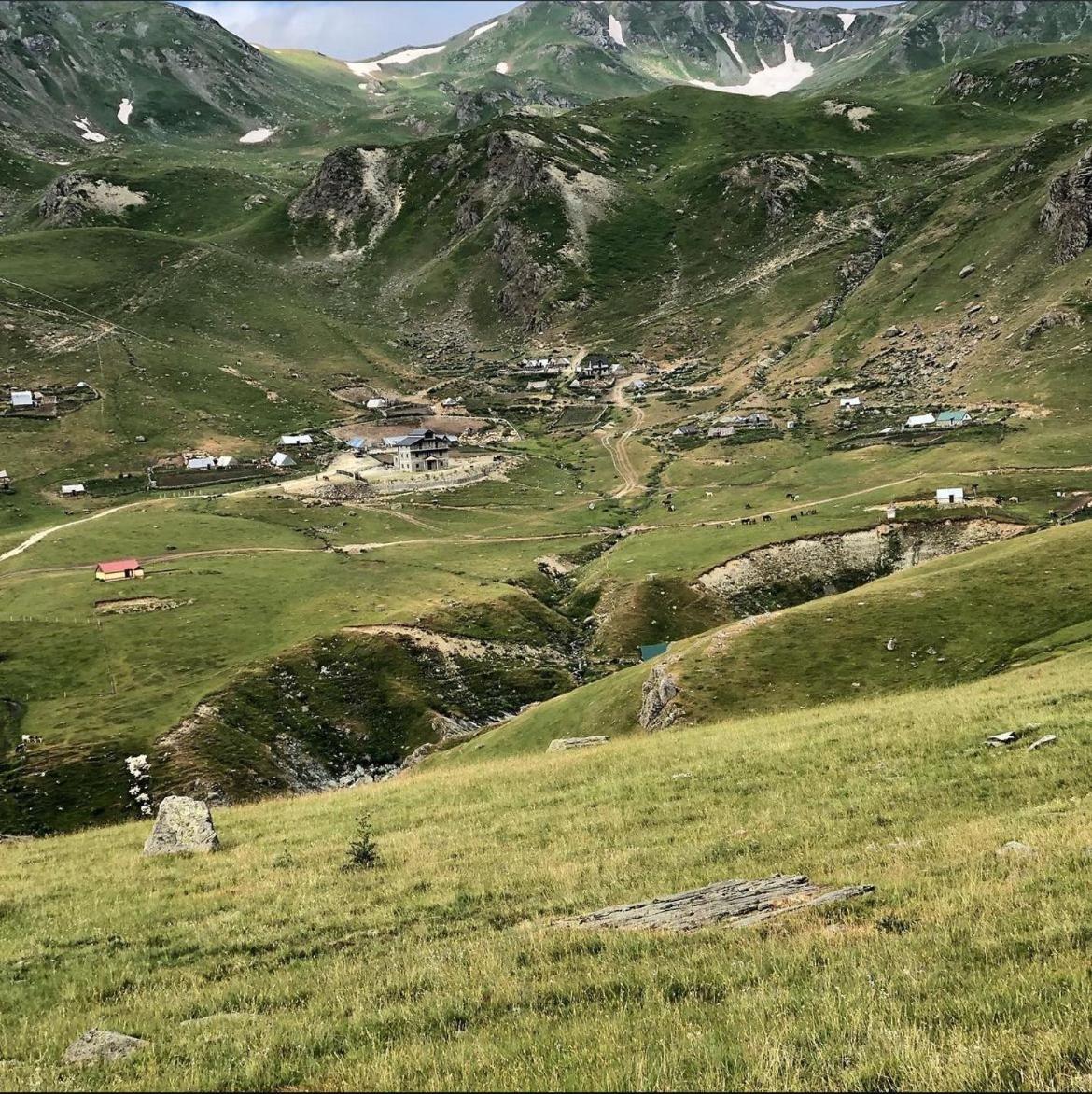 Sylbica