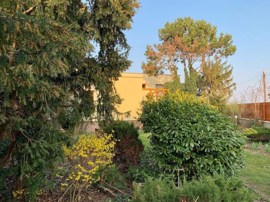 Photo 28