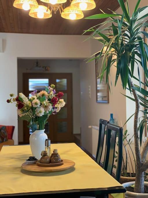 Beautiful house with sunny garden near Bratislava view 4