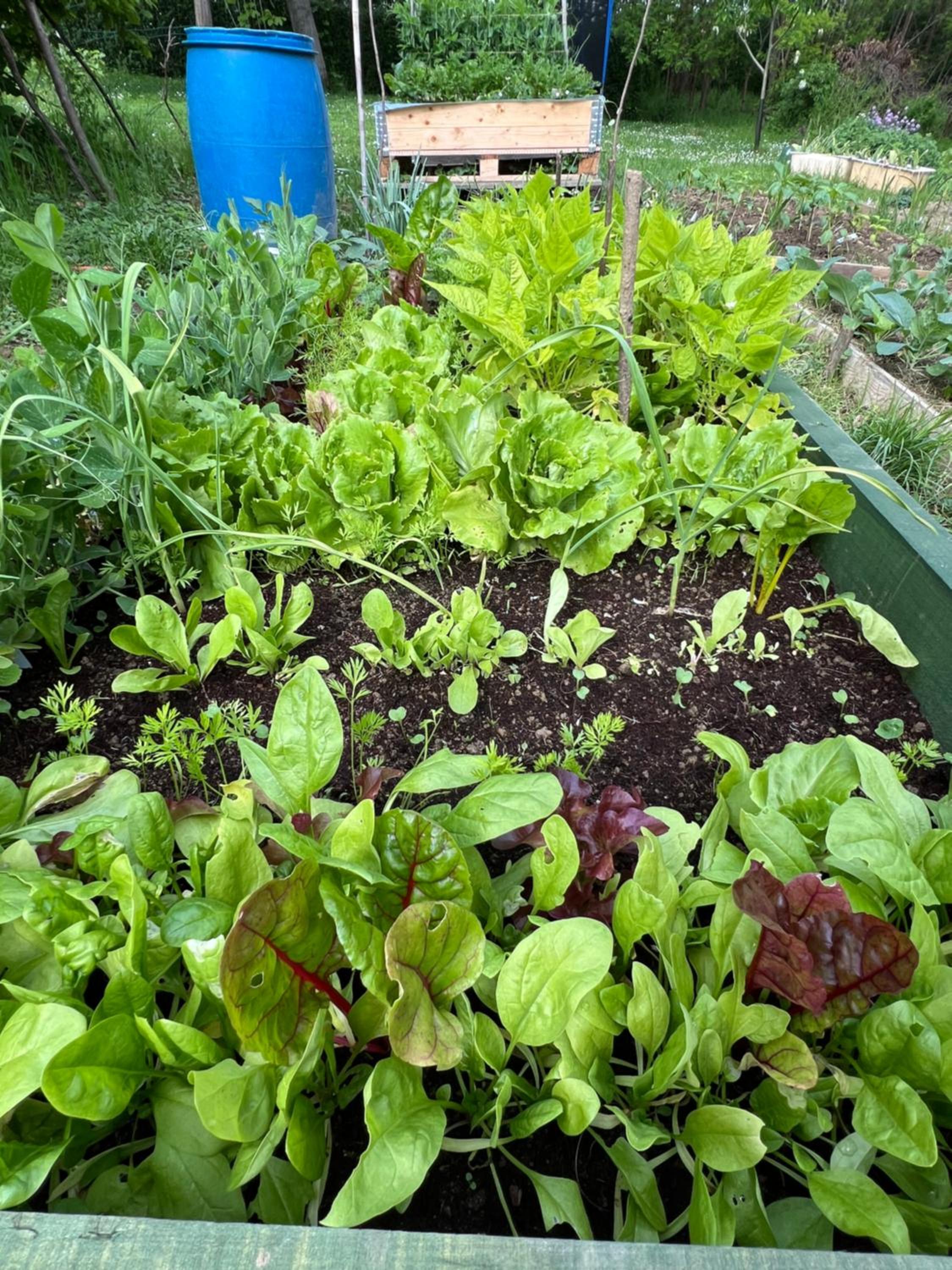 Green Home
