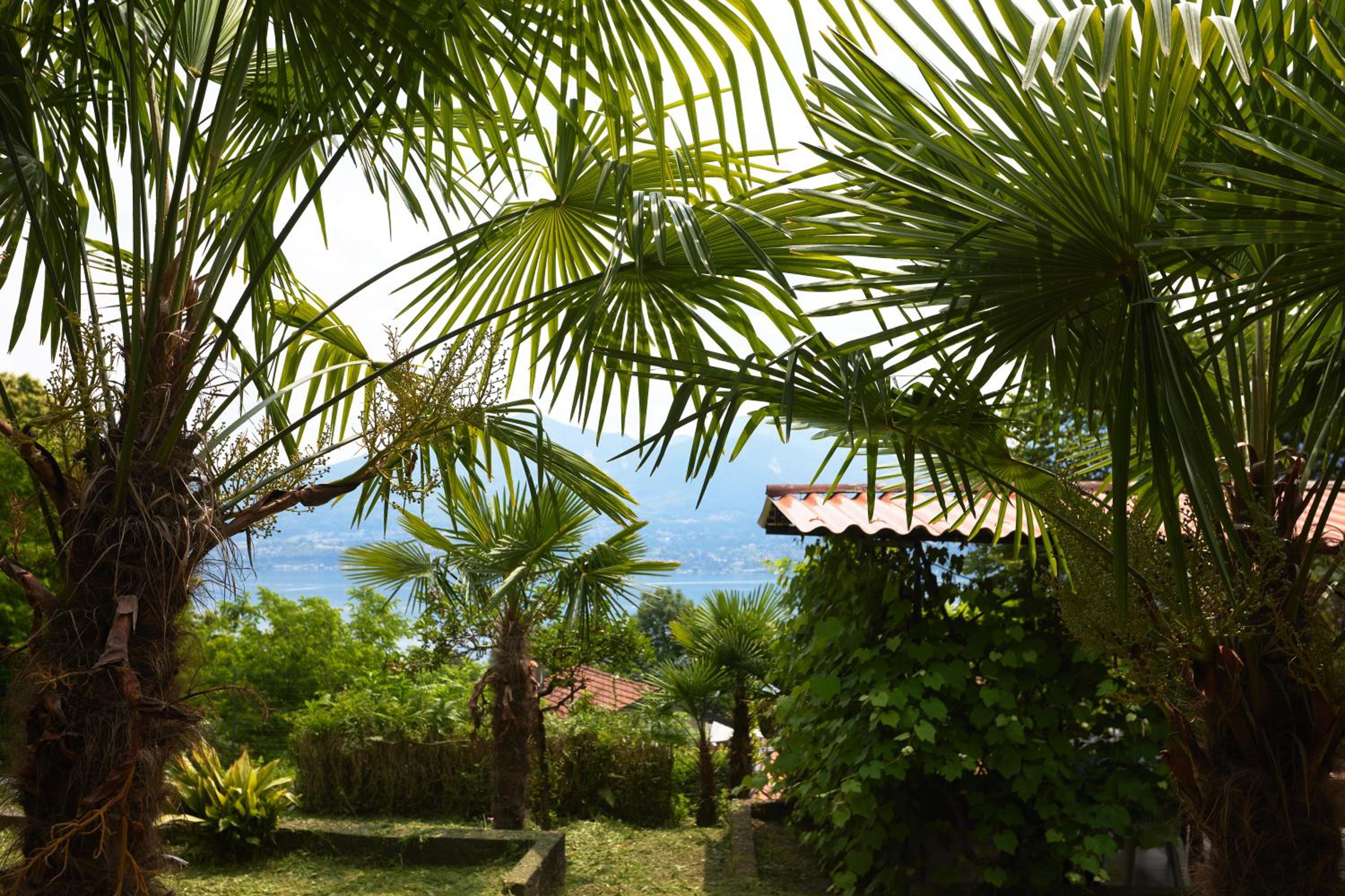 Villa di paese - Splendida vista lago Maggiore view 3