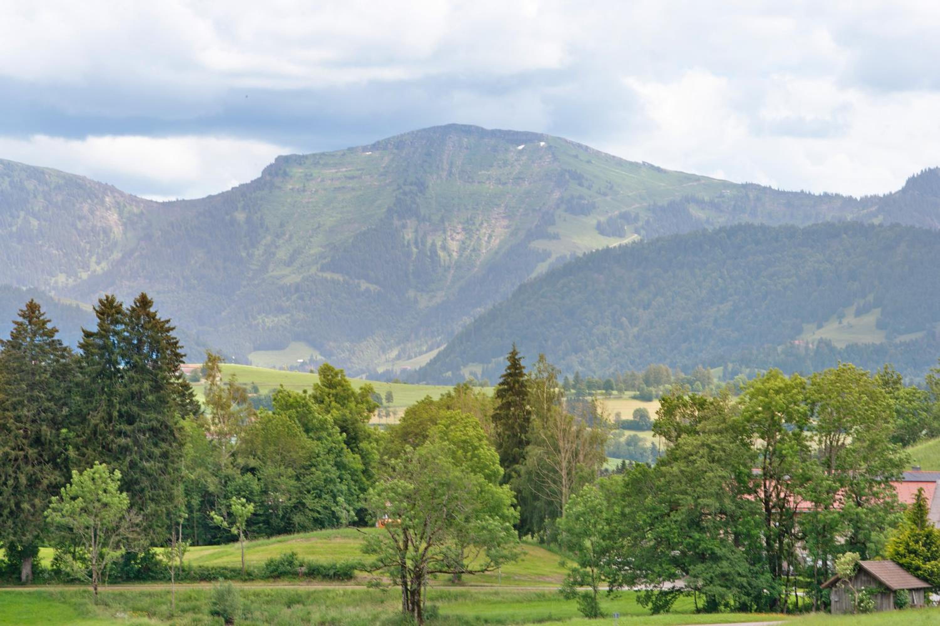 Alpin