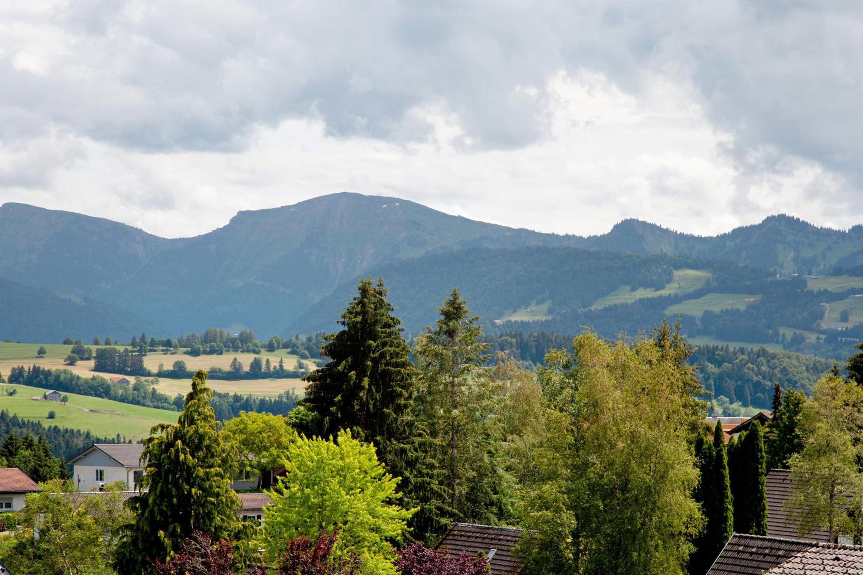 Alpin