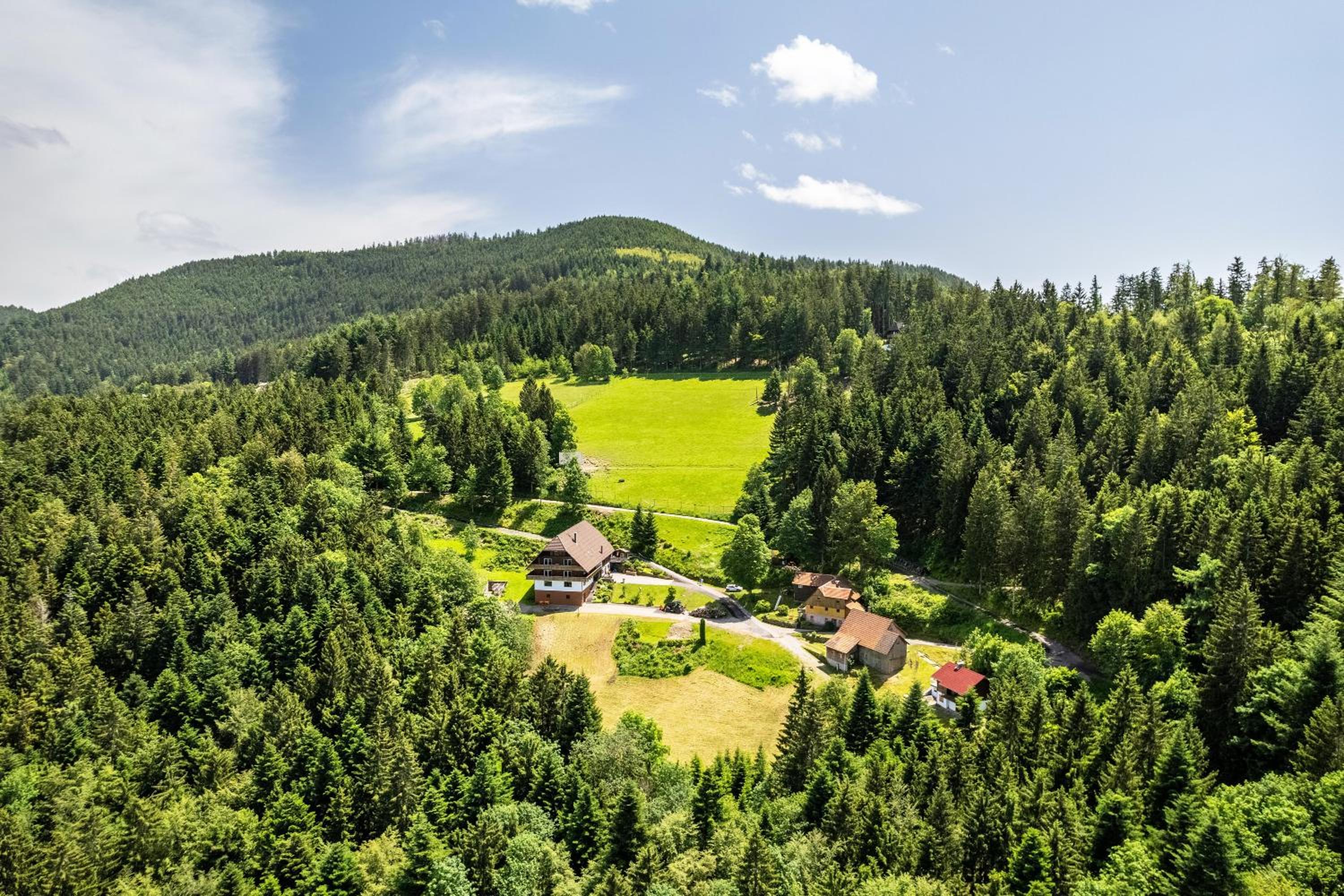 Fuchsmichelhof 4
