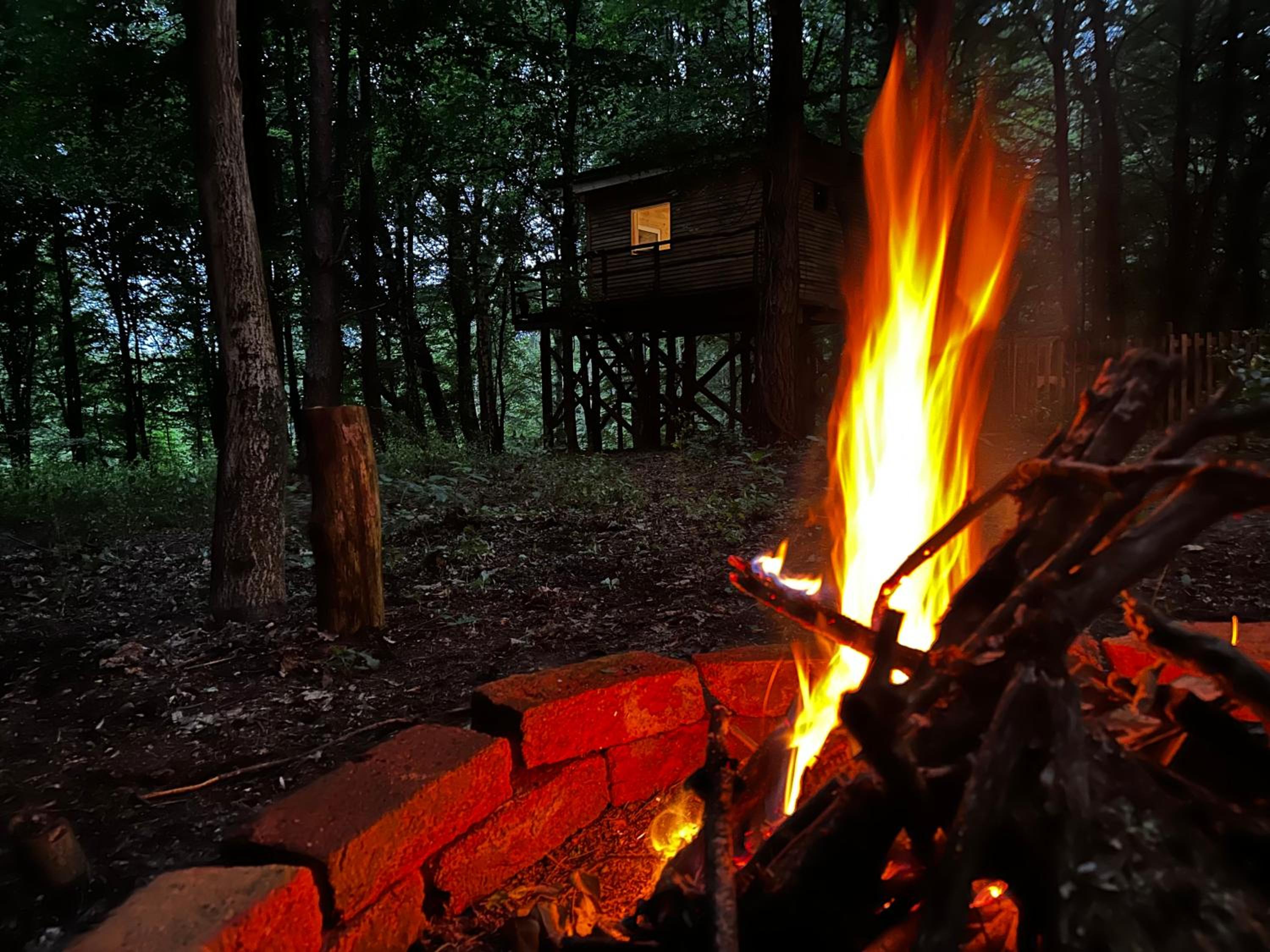 Living Forest Resort