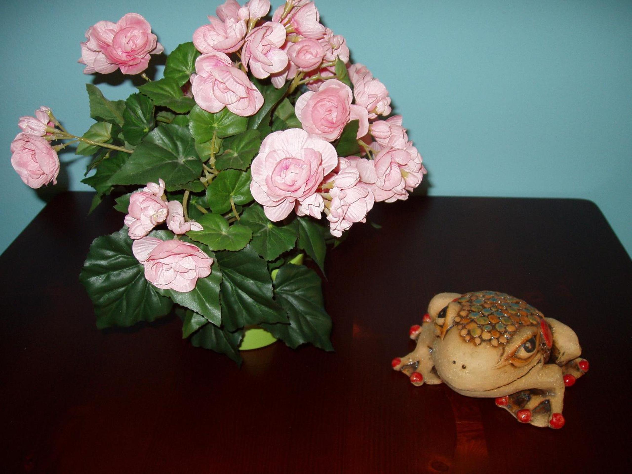 Photo 44