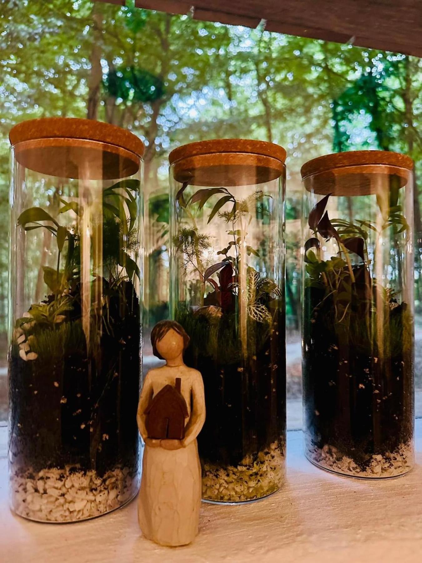 Living Forest Resort