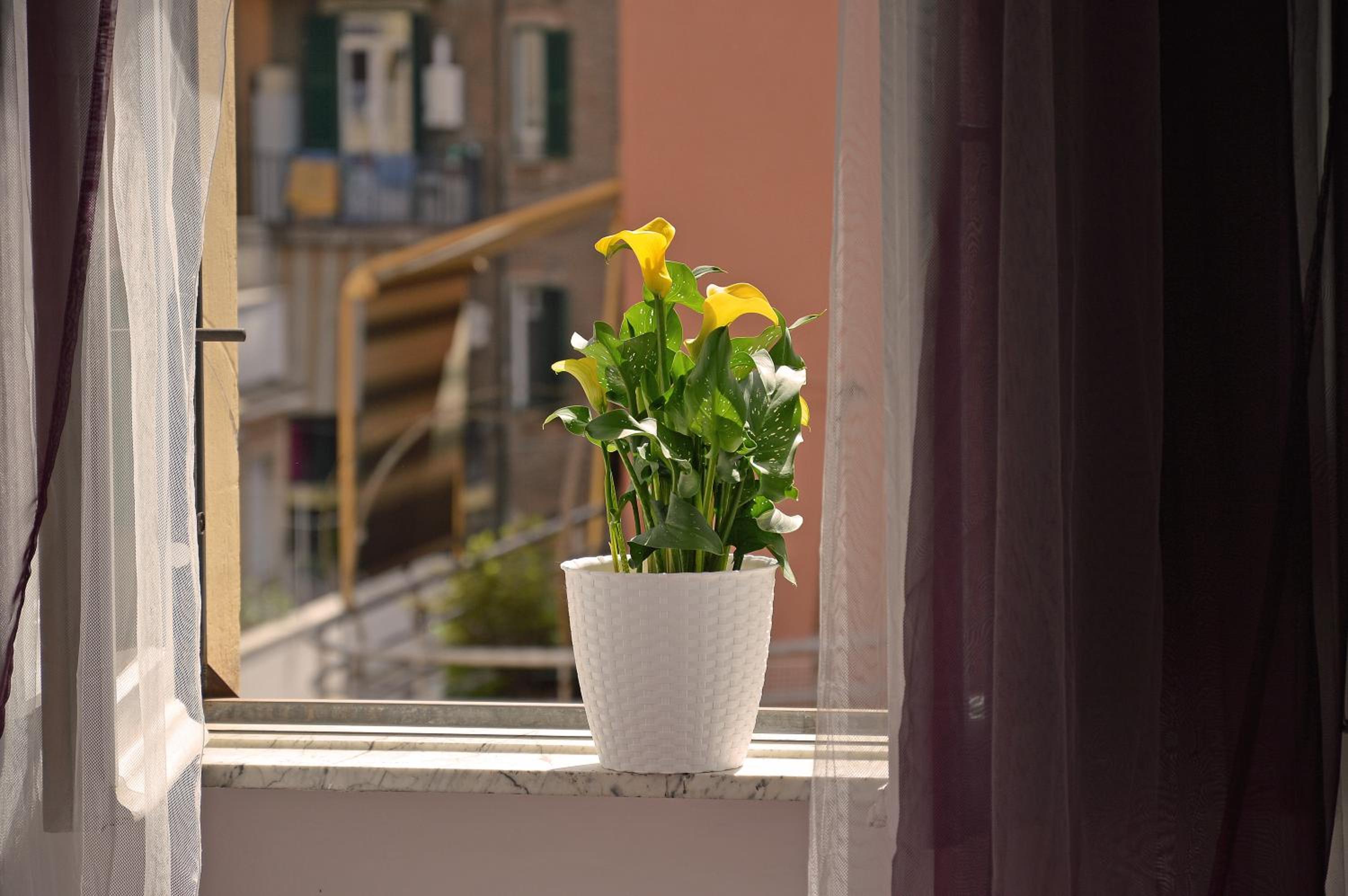 Casa Via Cesena