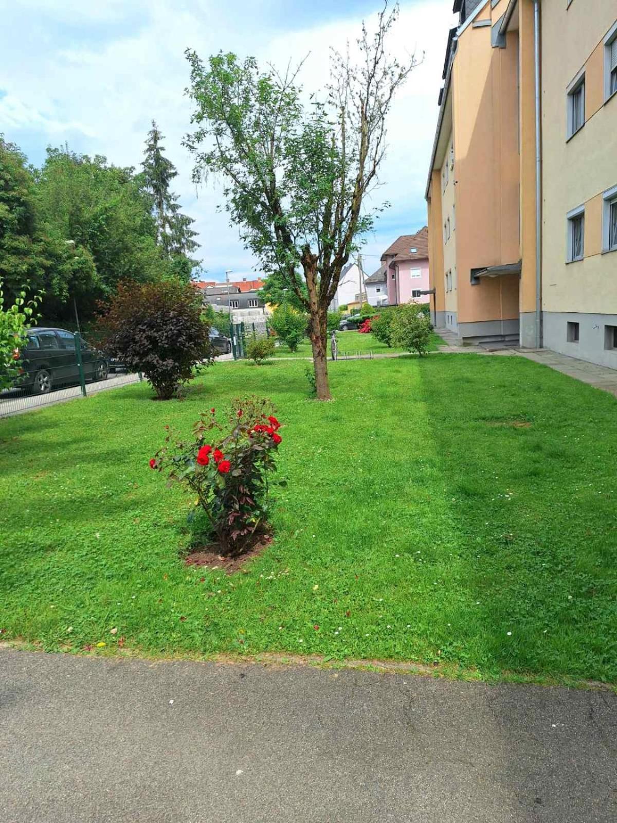La Vida appartment 1
