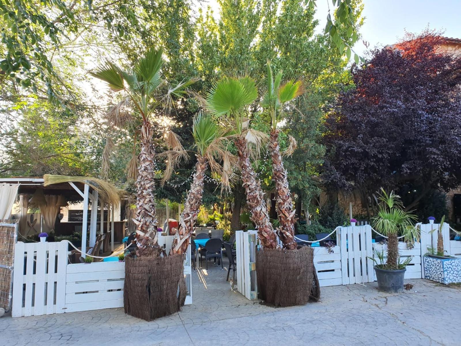 Acebos del Tajo