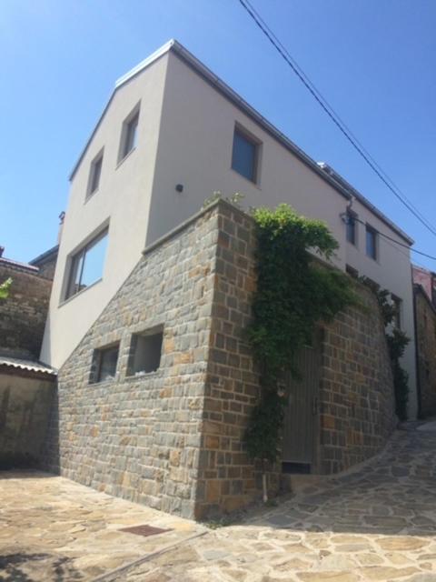 CONTEMPORARY HOUSE PADNA view 2