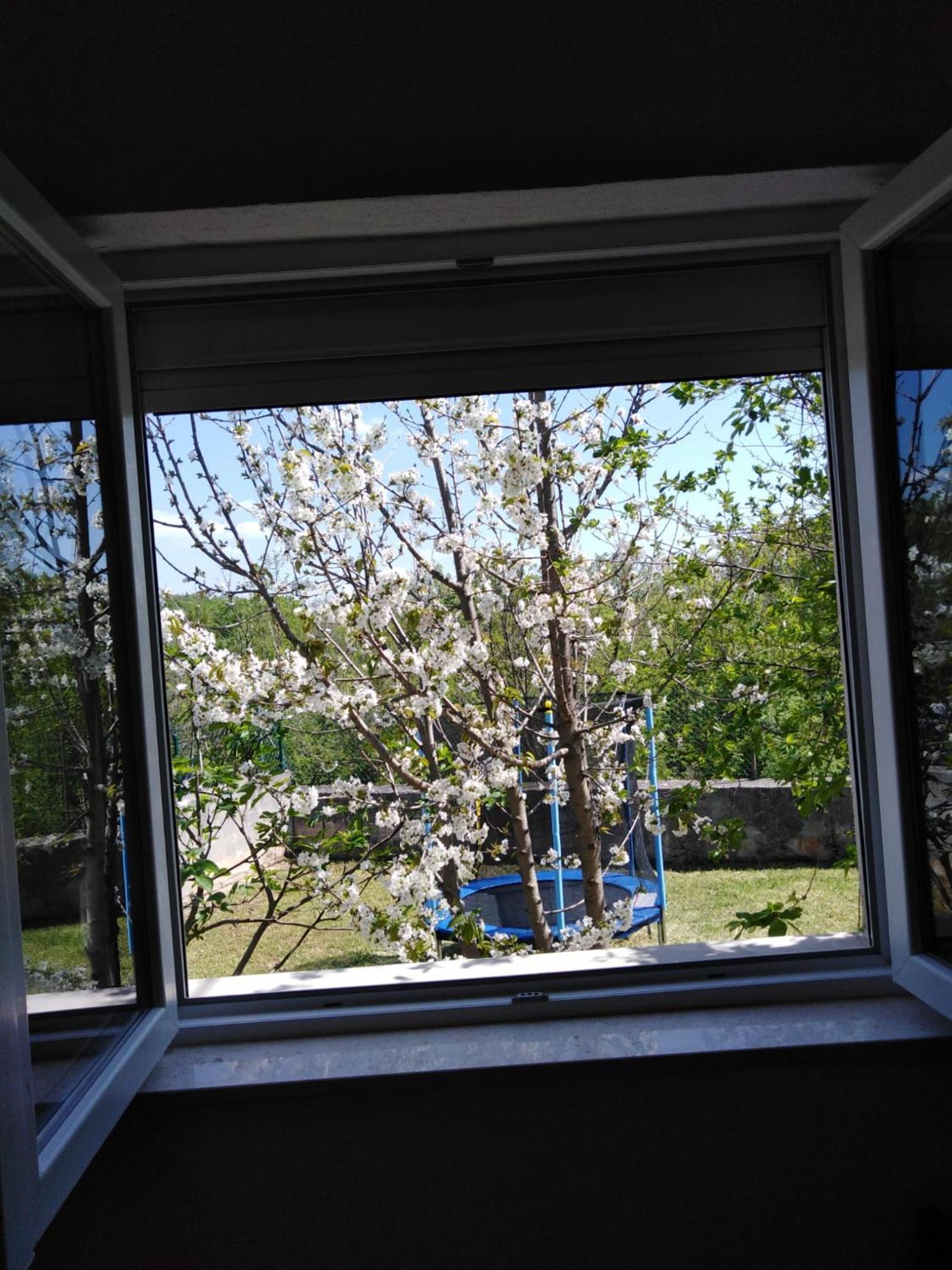 Guest house Tamy - with jacuzzi view 5