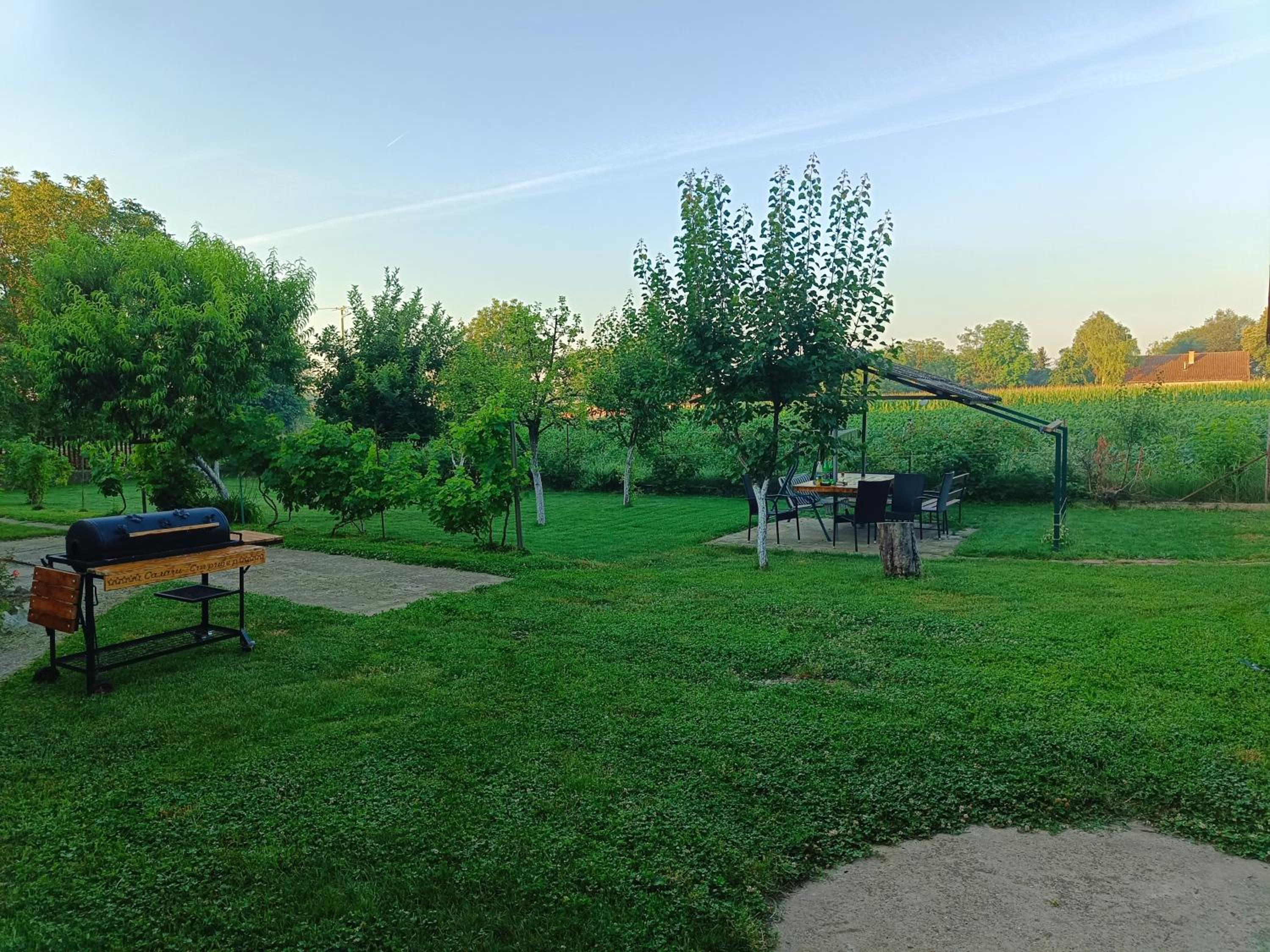 Photo 36
