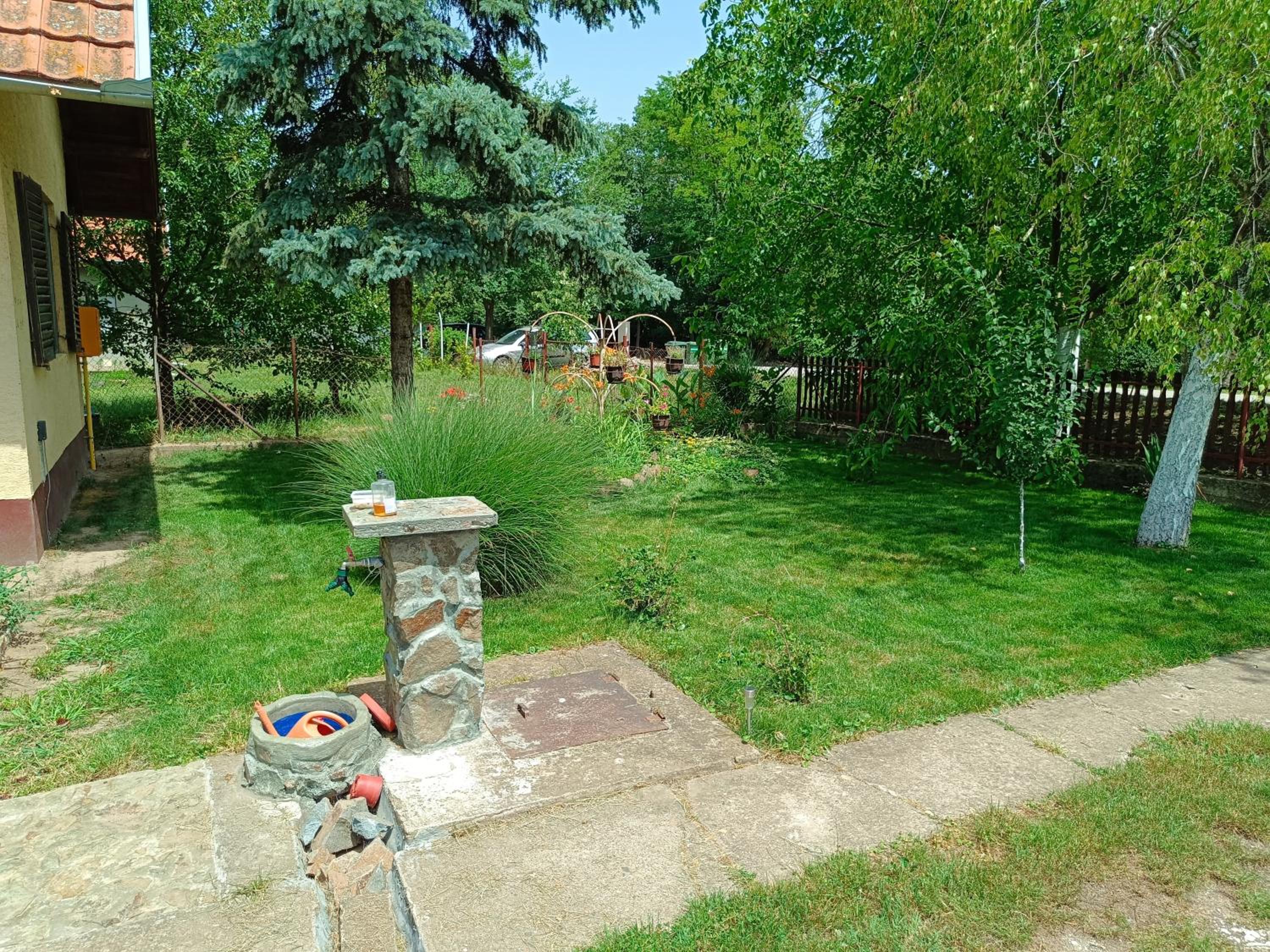 Photo 31
