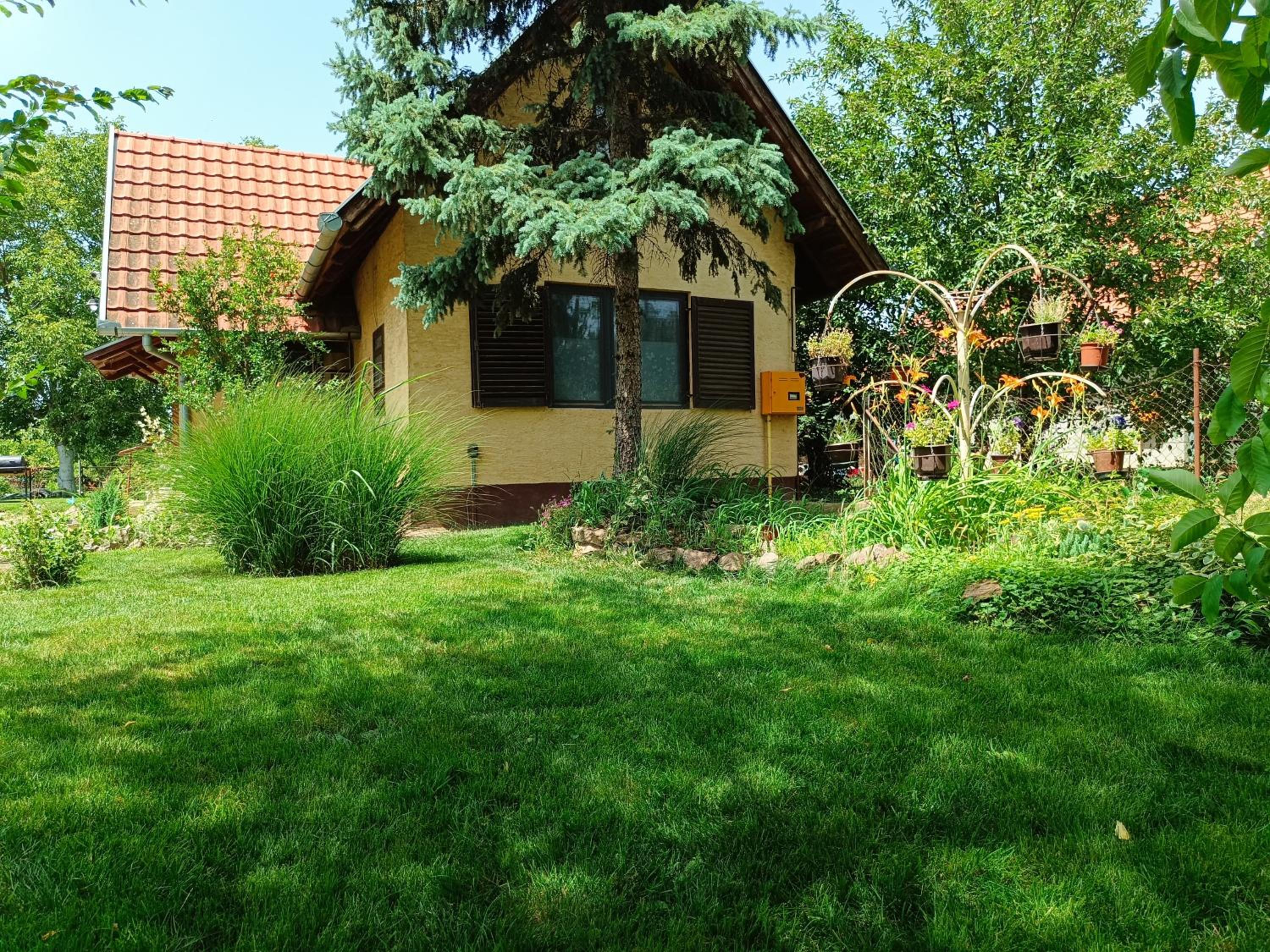 Photo 32