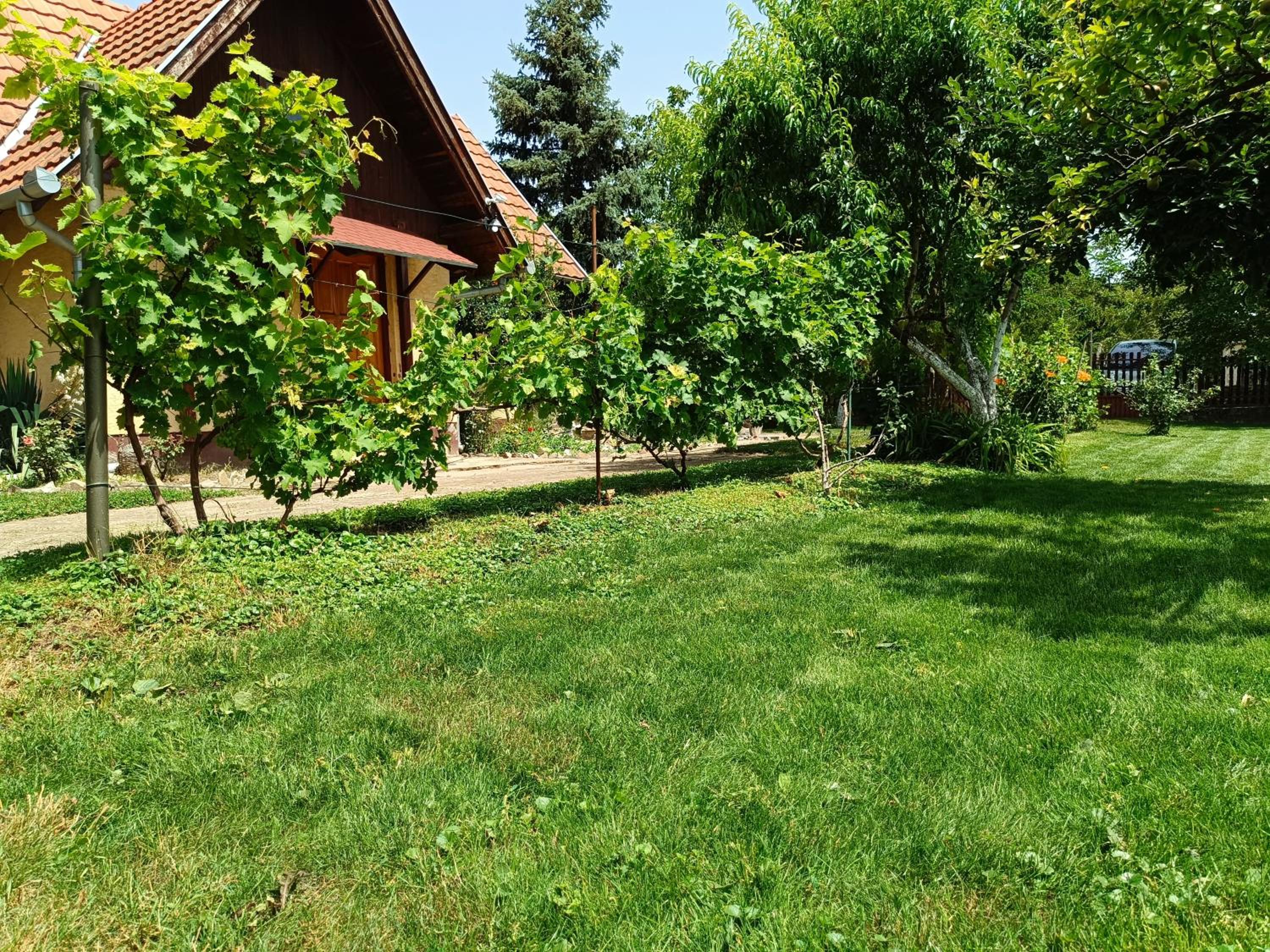 Photo 35