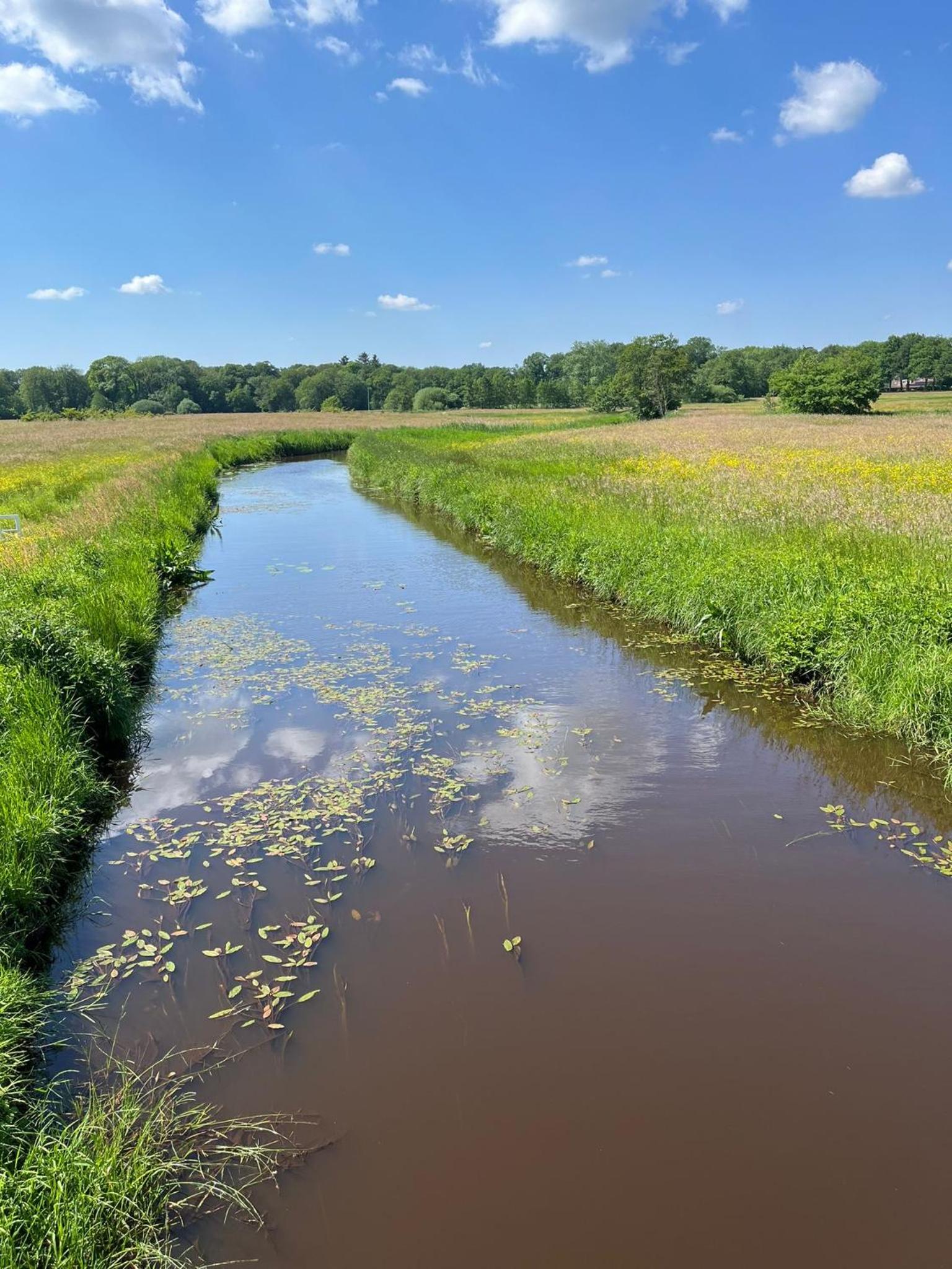 De Compaenenhorst
