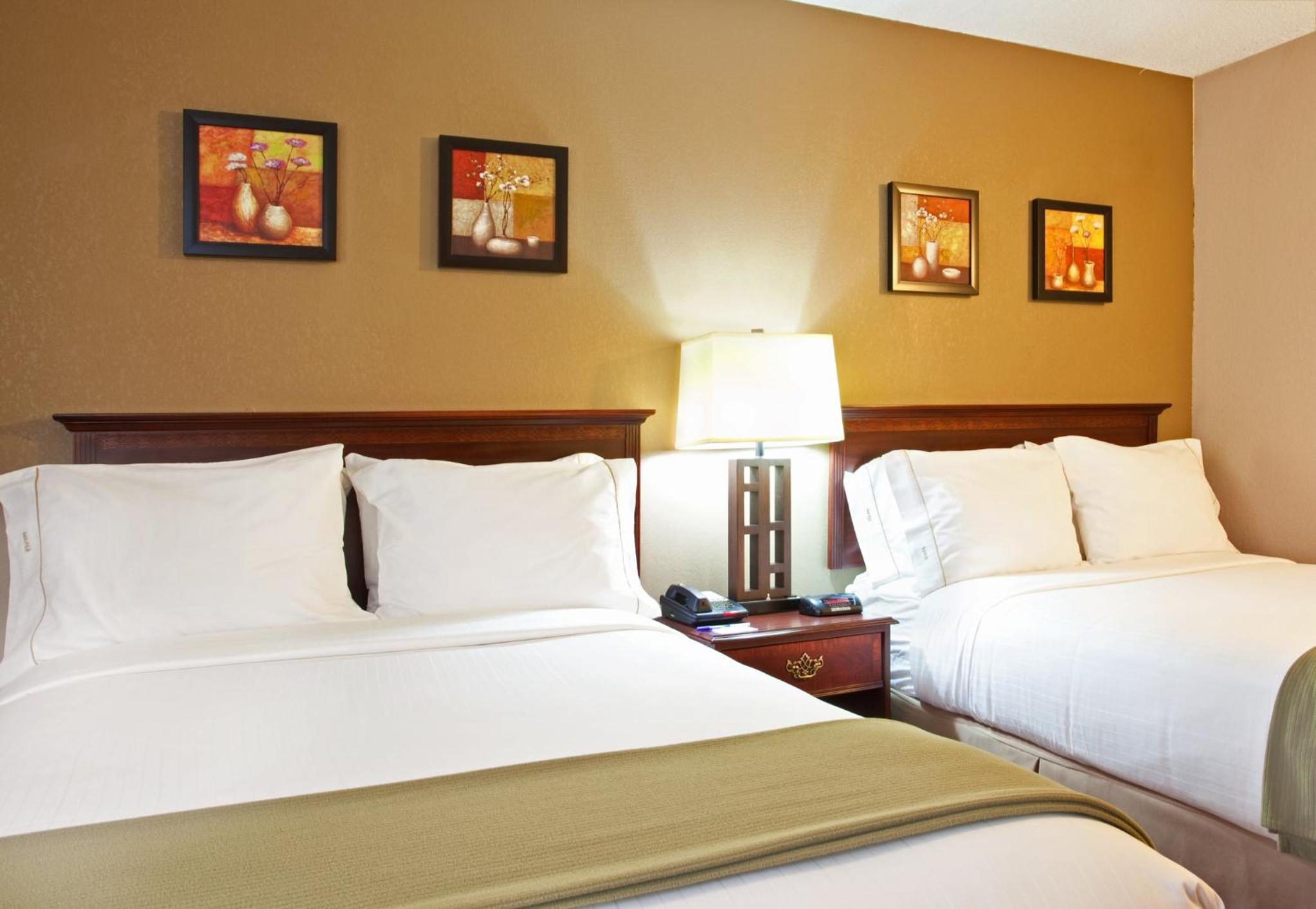 Holiday Inn Express Schaumburg-Rolling Meadows, an IHG Hotel - Property Image 19