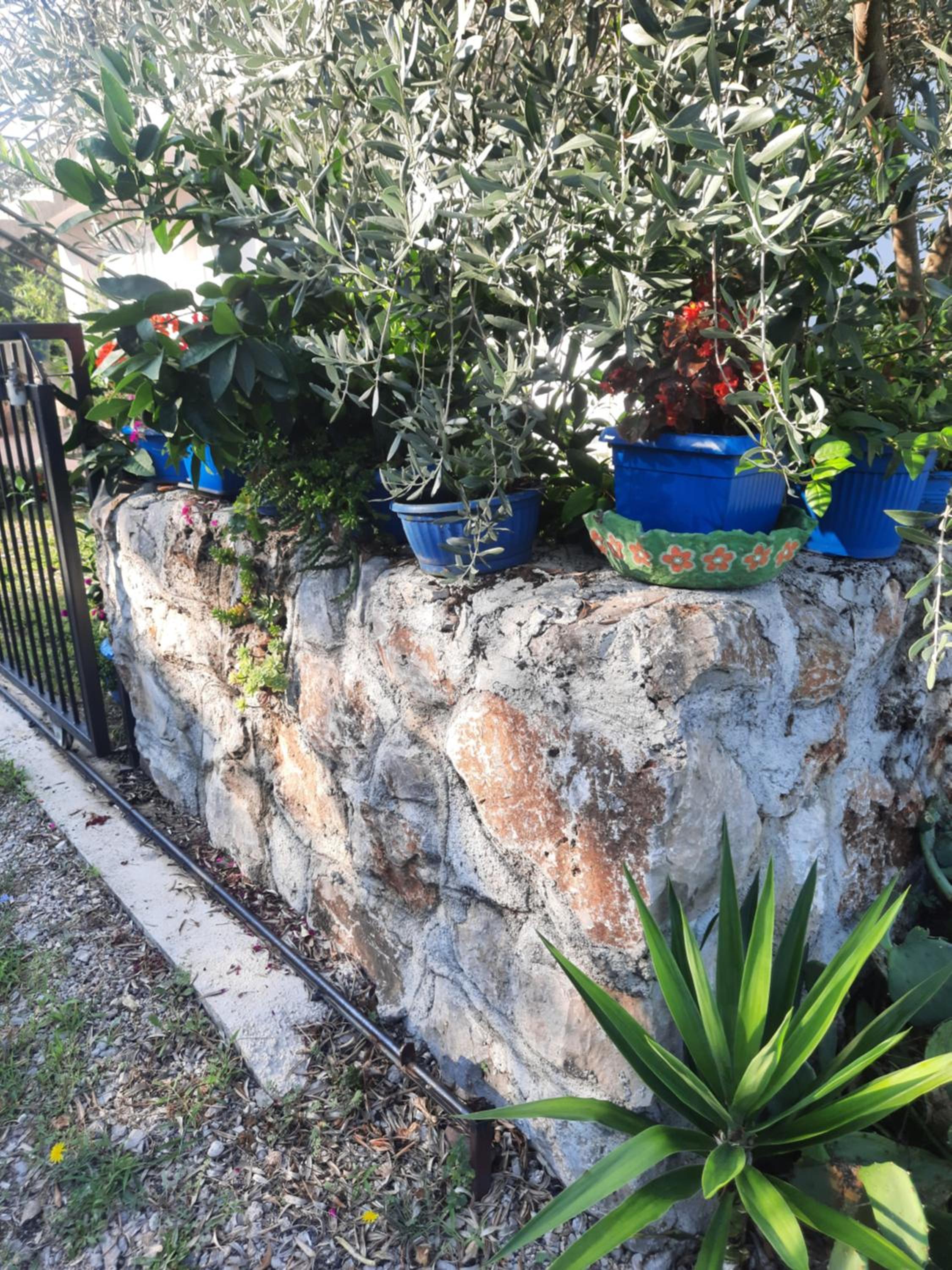 Photo 13