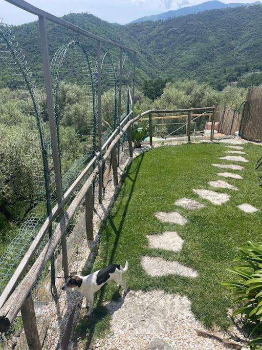Villa La Vedetta sea view