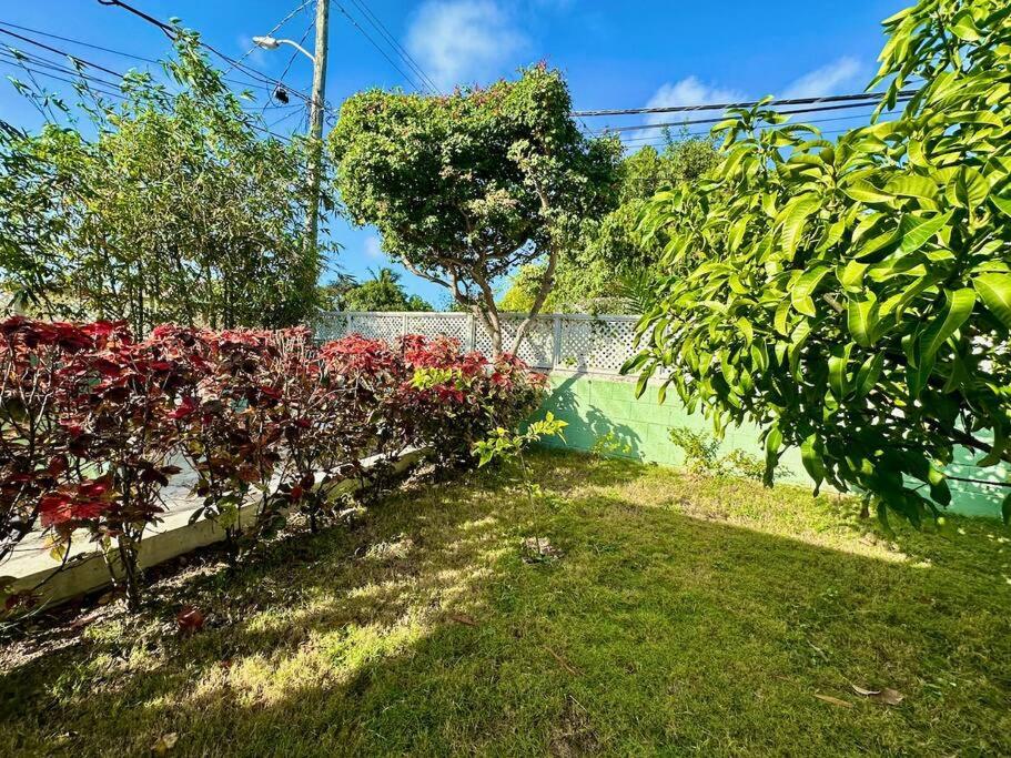 Two charming connected apartments for 4 or family