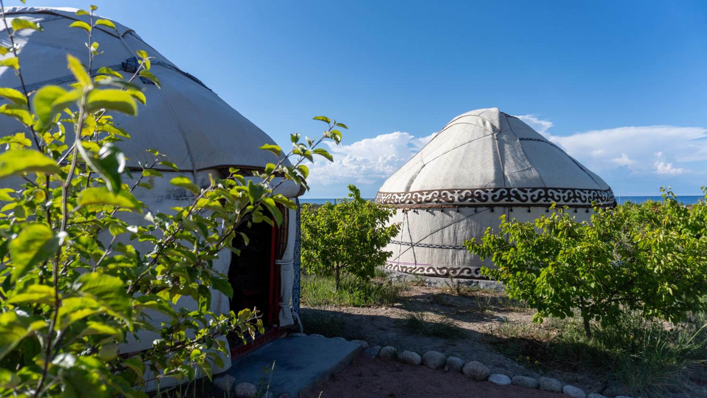 Guest house and yurt camp Svetlana