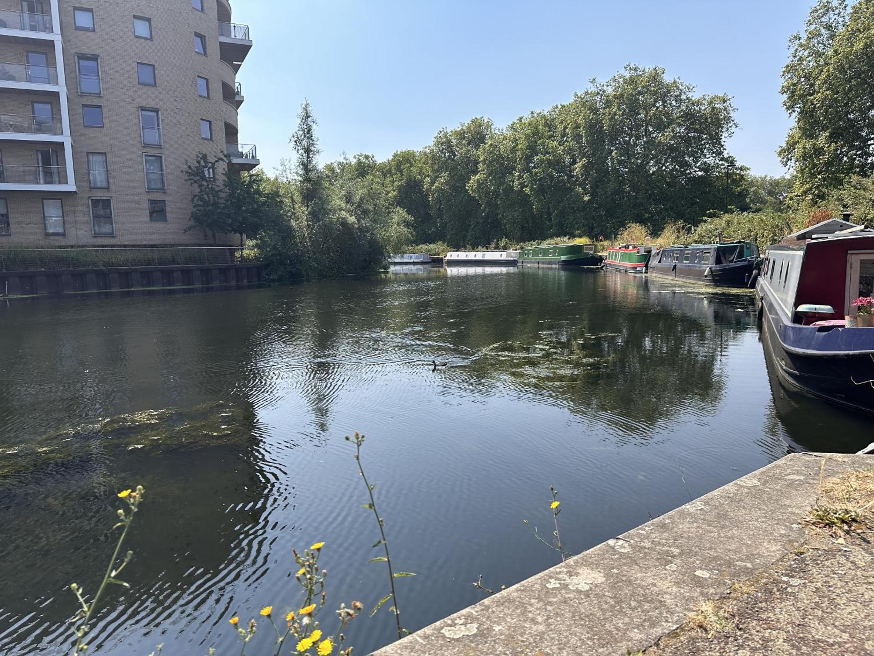 Fenland House