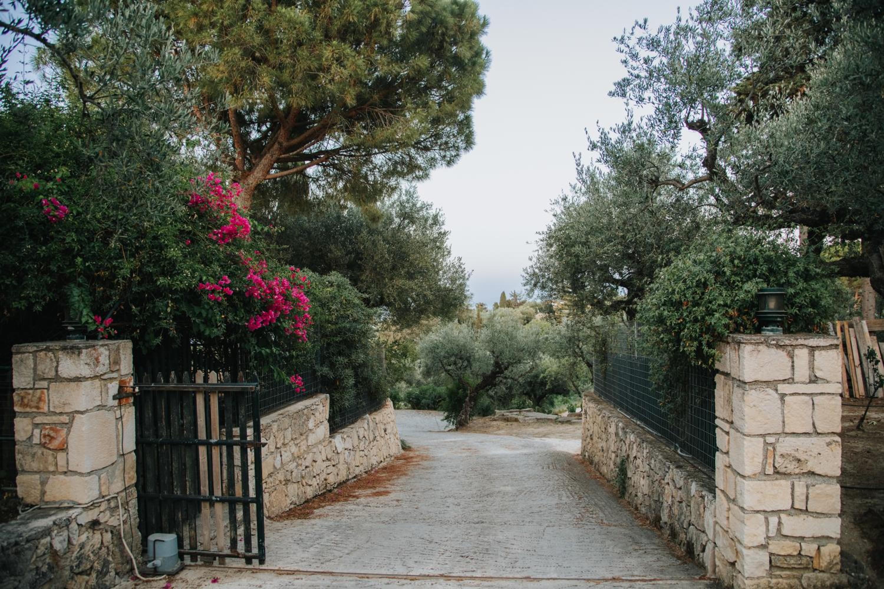 Orama Stone Apartments - Authentic hospitality in a Historical Location, by Zantewize view 4