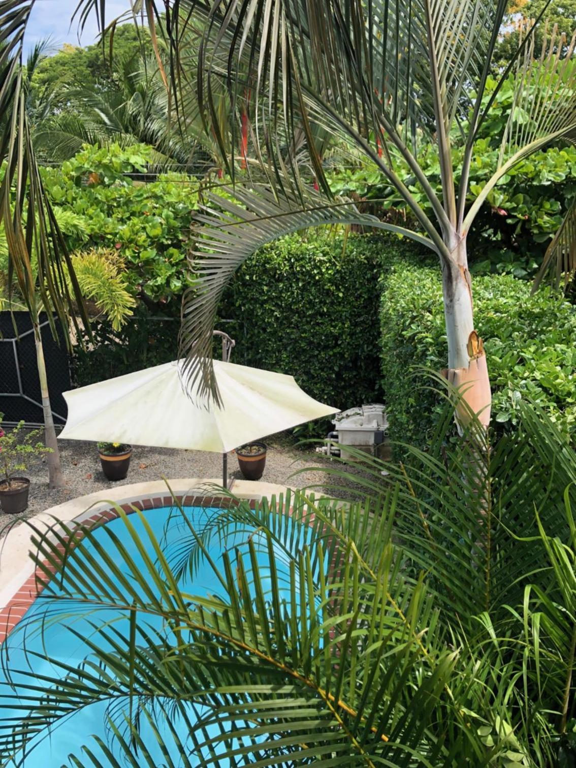 Casa Toucan mit privat Pool near NP Ballena