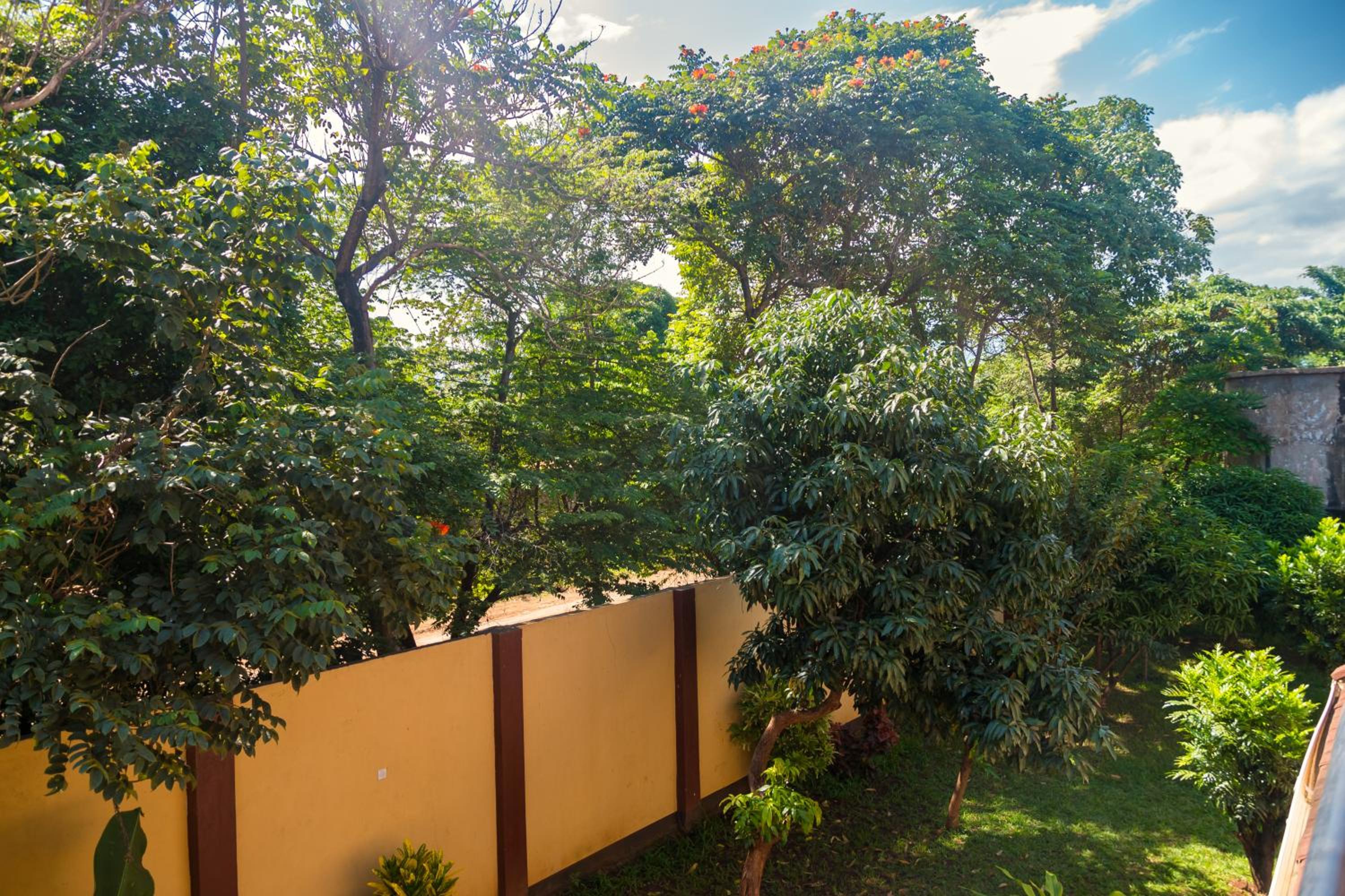 Lifetyme Homes