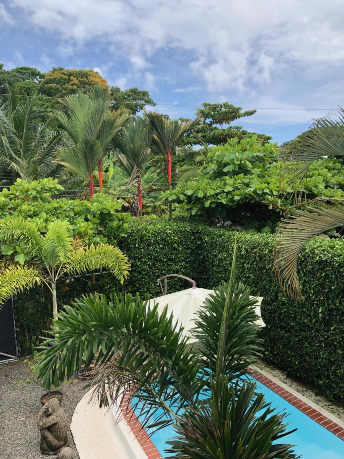 Casa Toucan mit privat Pool near NP Ballena