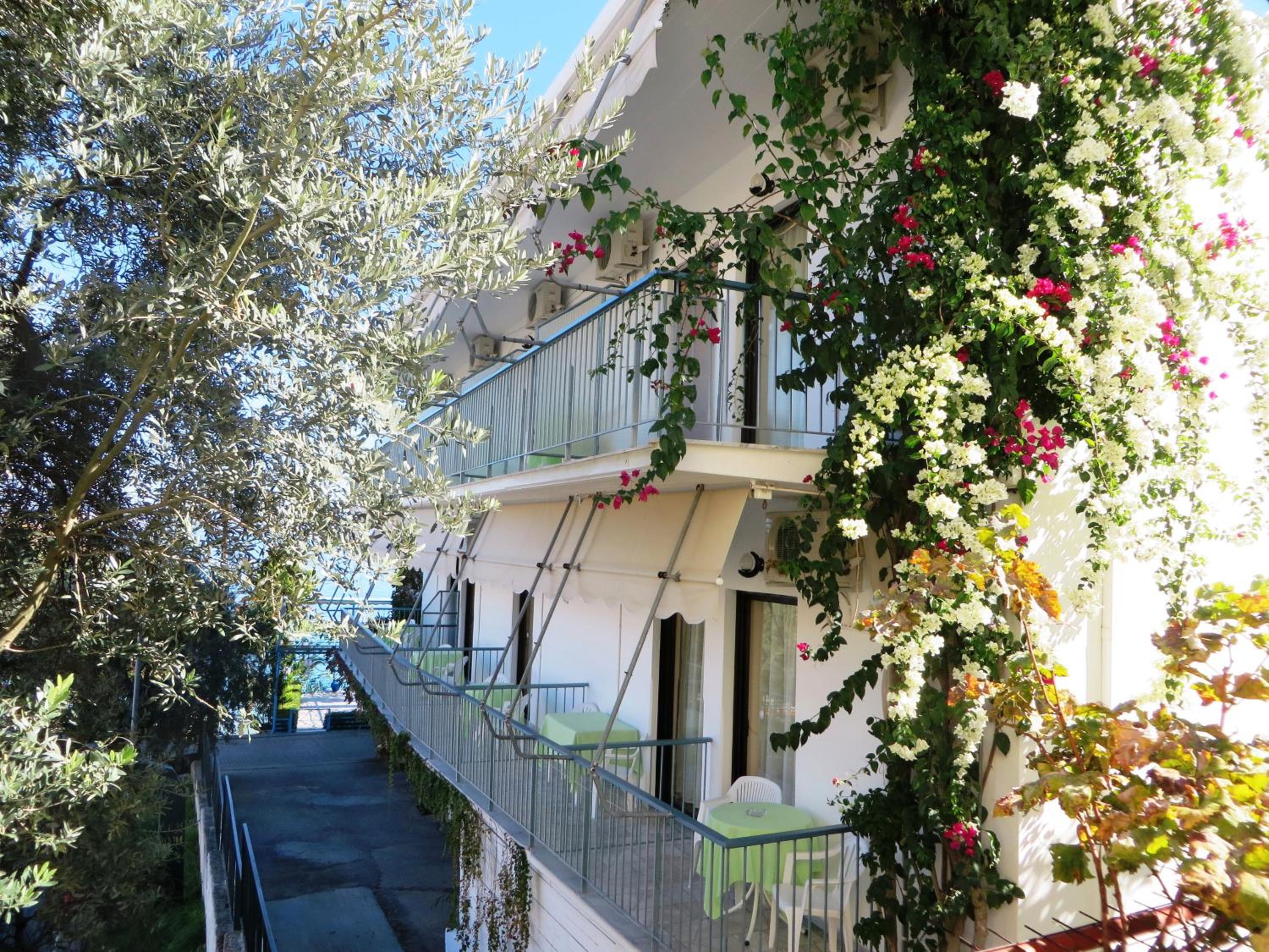 Photo 10