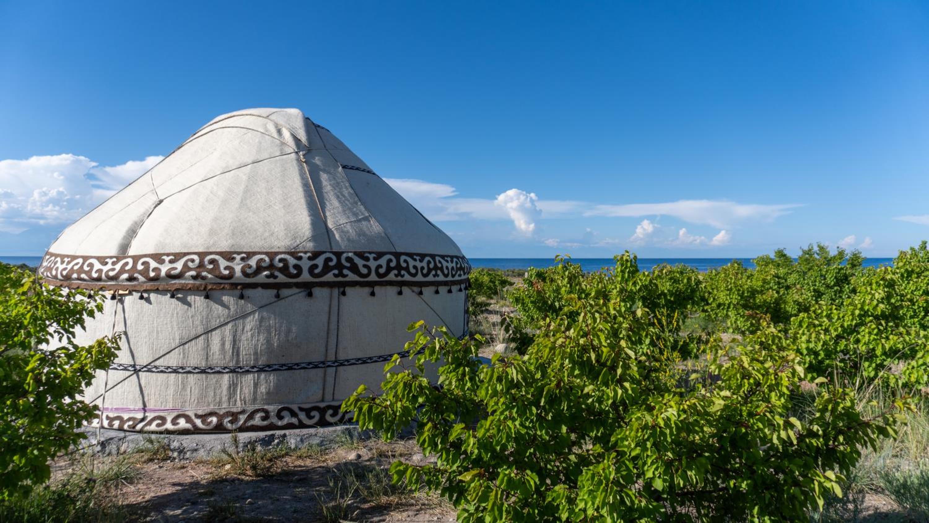 Guest house and yurt camp Svetlana