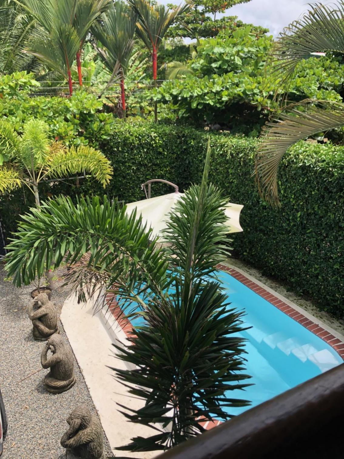 Casa Toucan mit privat Pool near NP Ballena