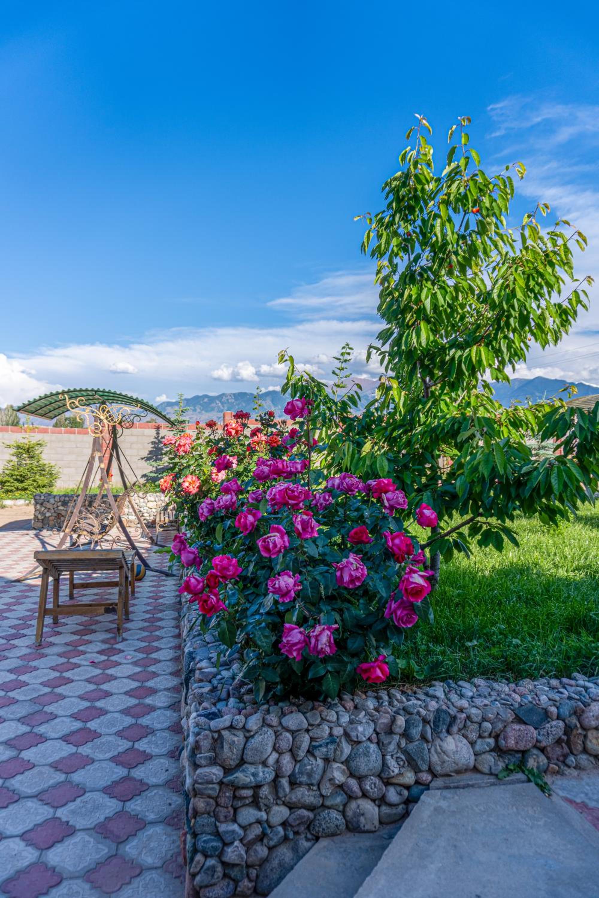 Guest house and yurt camp Svetlana
