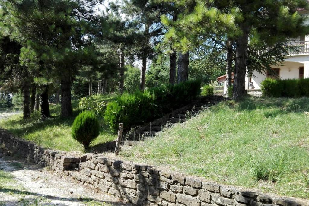 Villa nella natura - Agriturismo L'Incontro view 2