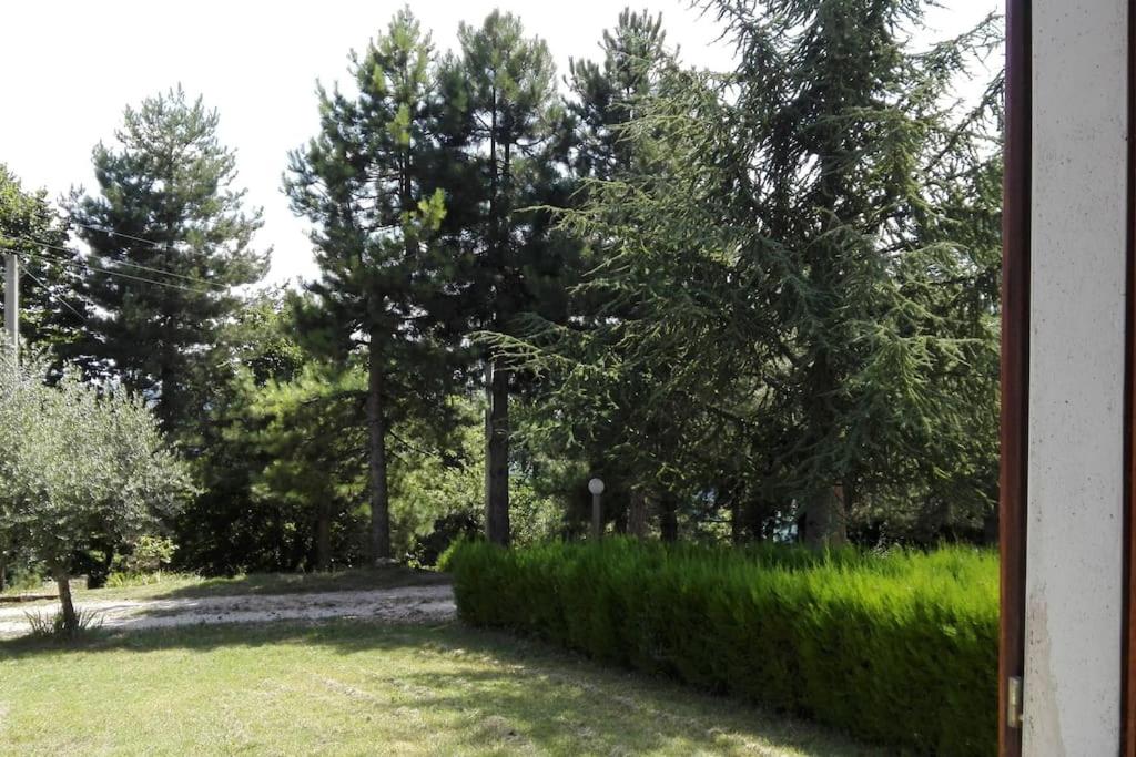 Villa nella natura - Agriturismo L'Incontro view 5