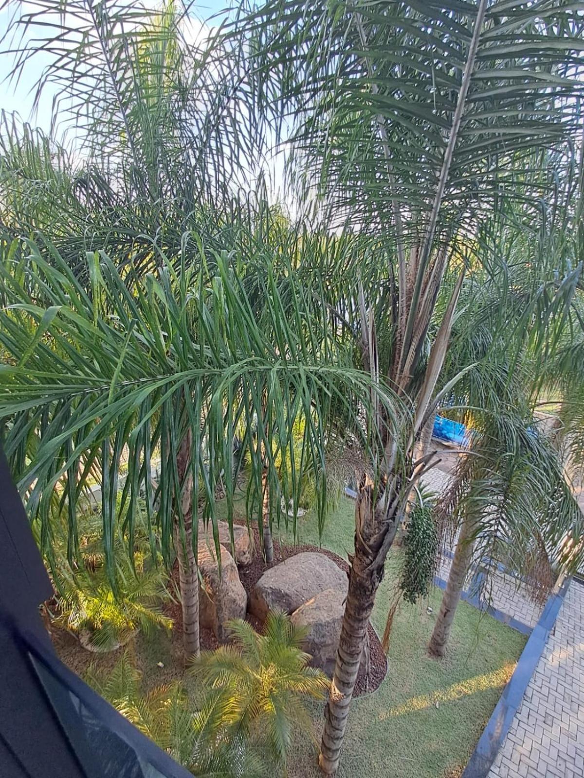 Casa Garden