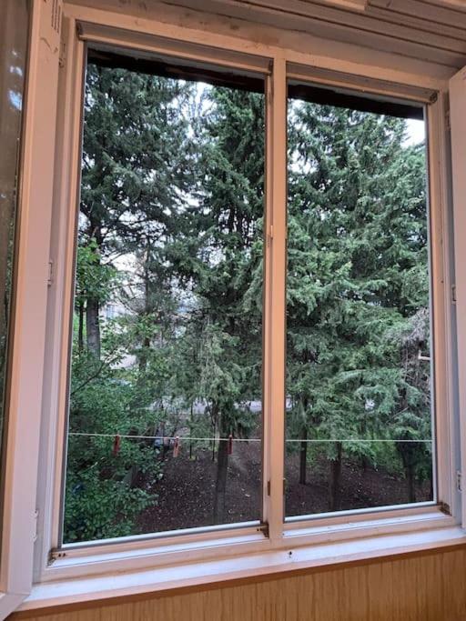 Cozy apartment for rent view 2