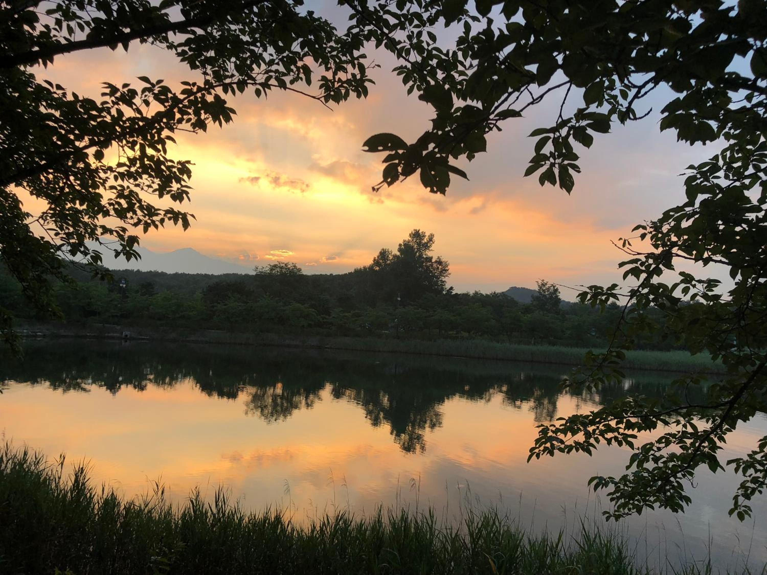 The better in Sokcho view 4