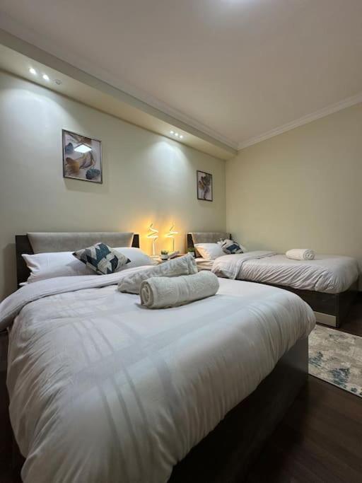 Presidential Suite Near City Star 3 Bed Apartment