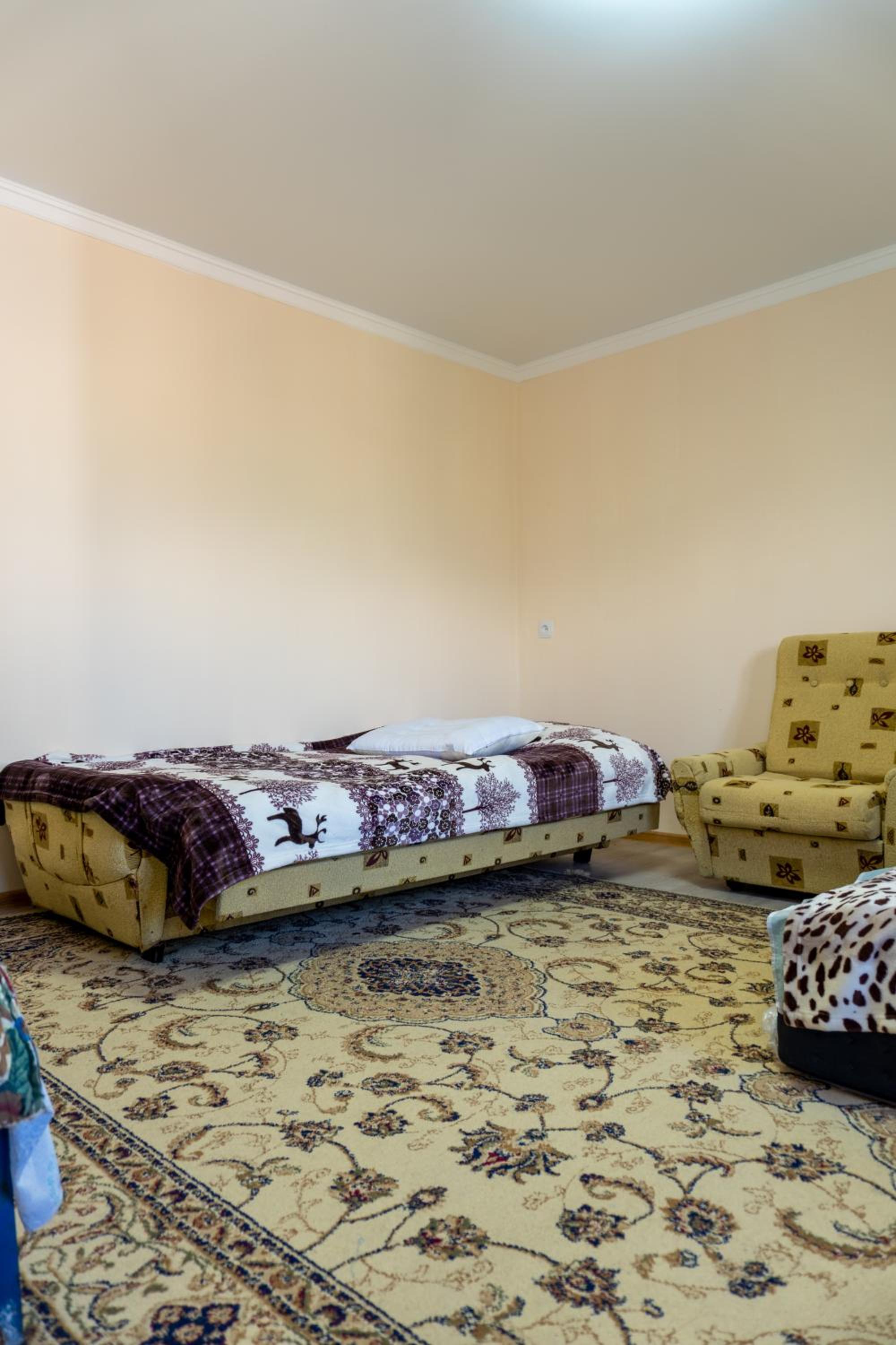 Guest house and yurt camp Svetlana