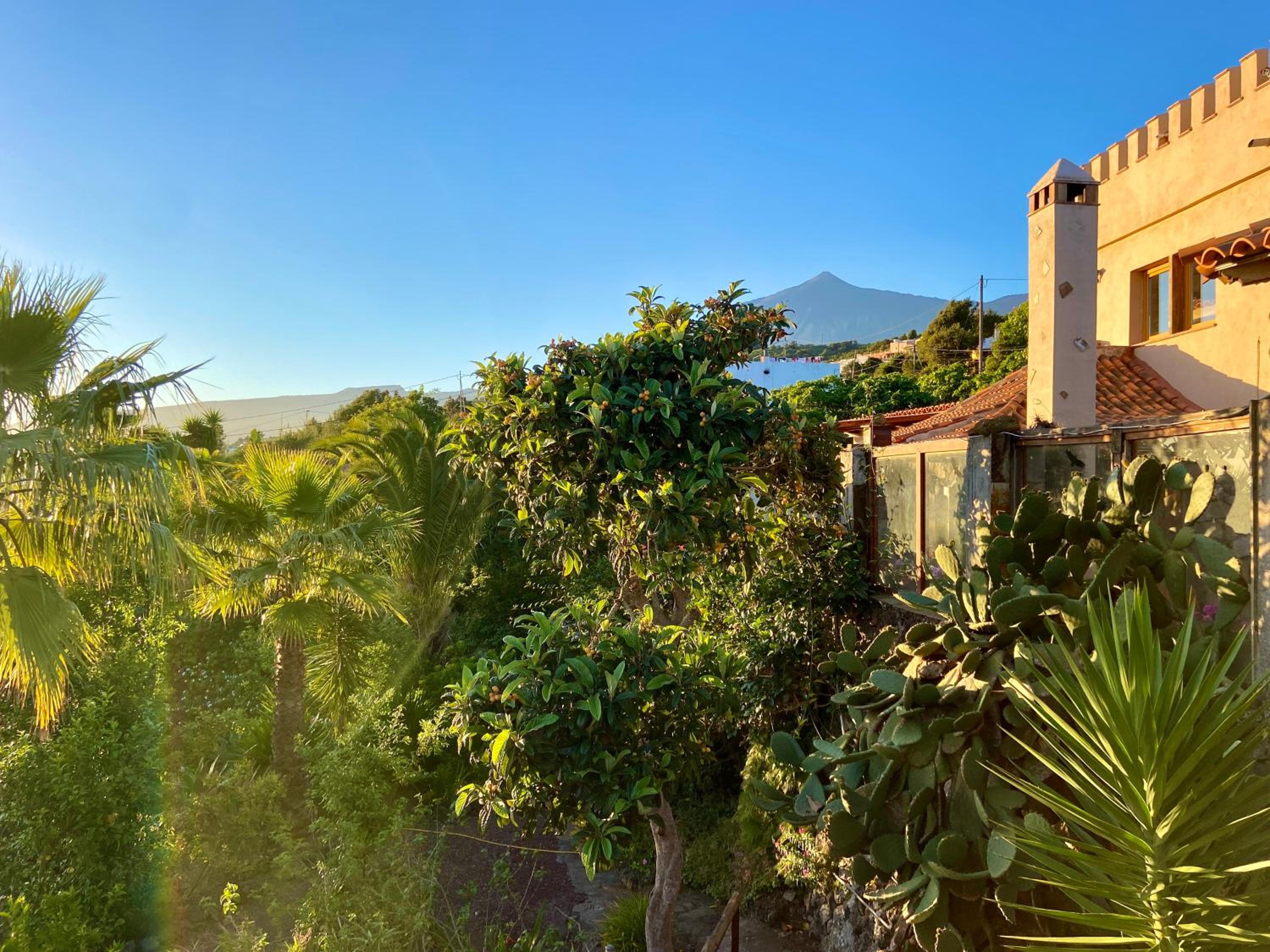 Finca Tenerife - Authentisches kanarisches Haus mit Traumblick, tropischem Garten und Sauna